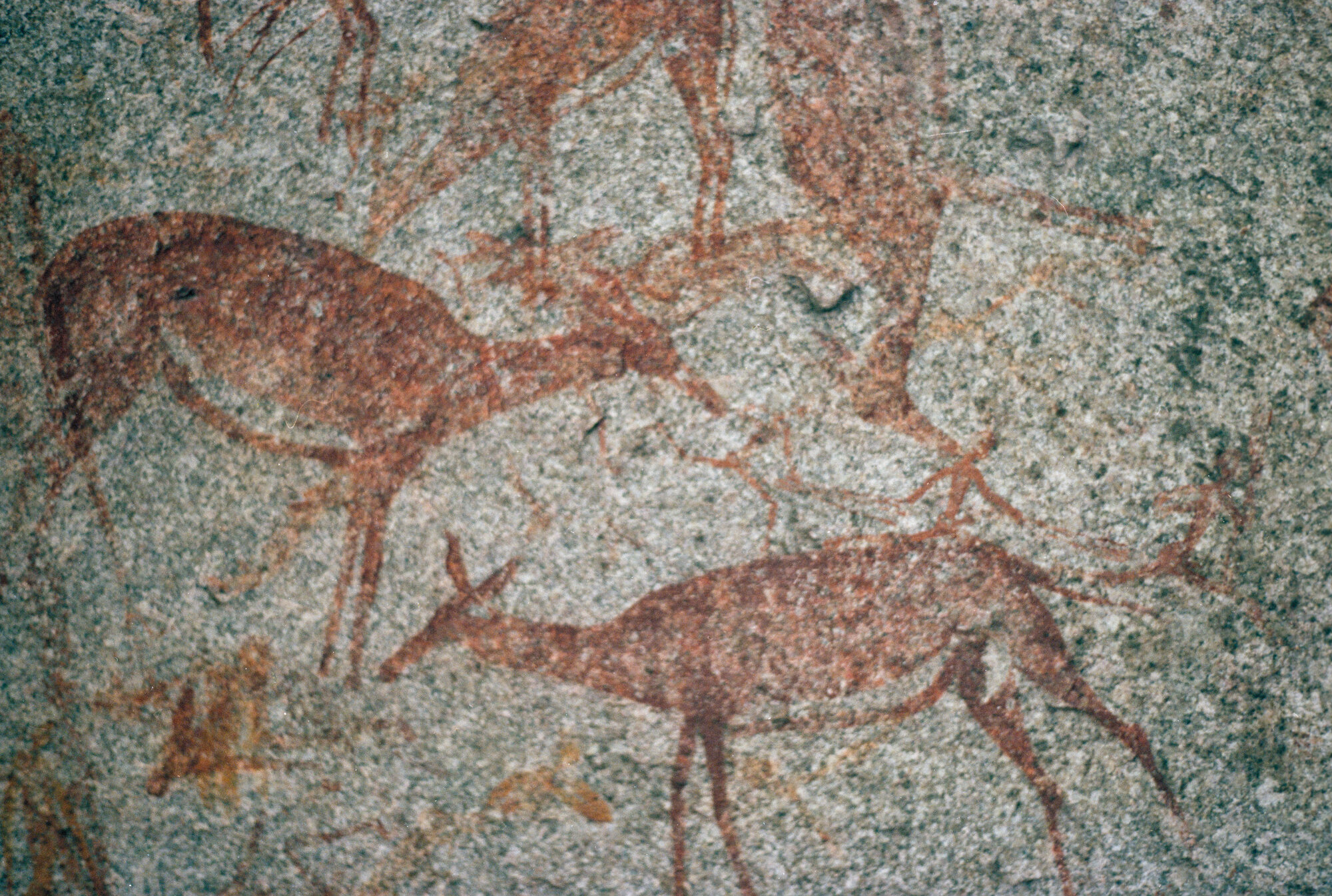 PGN_Box_001_P00178-00171_0020