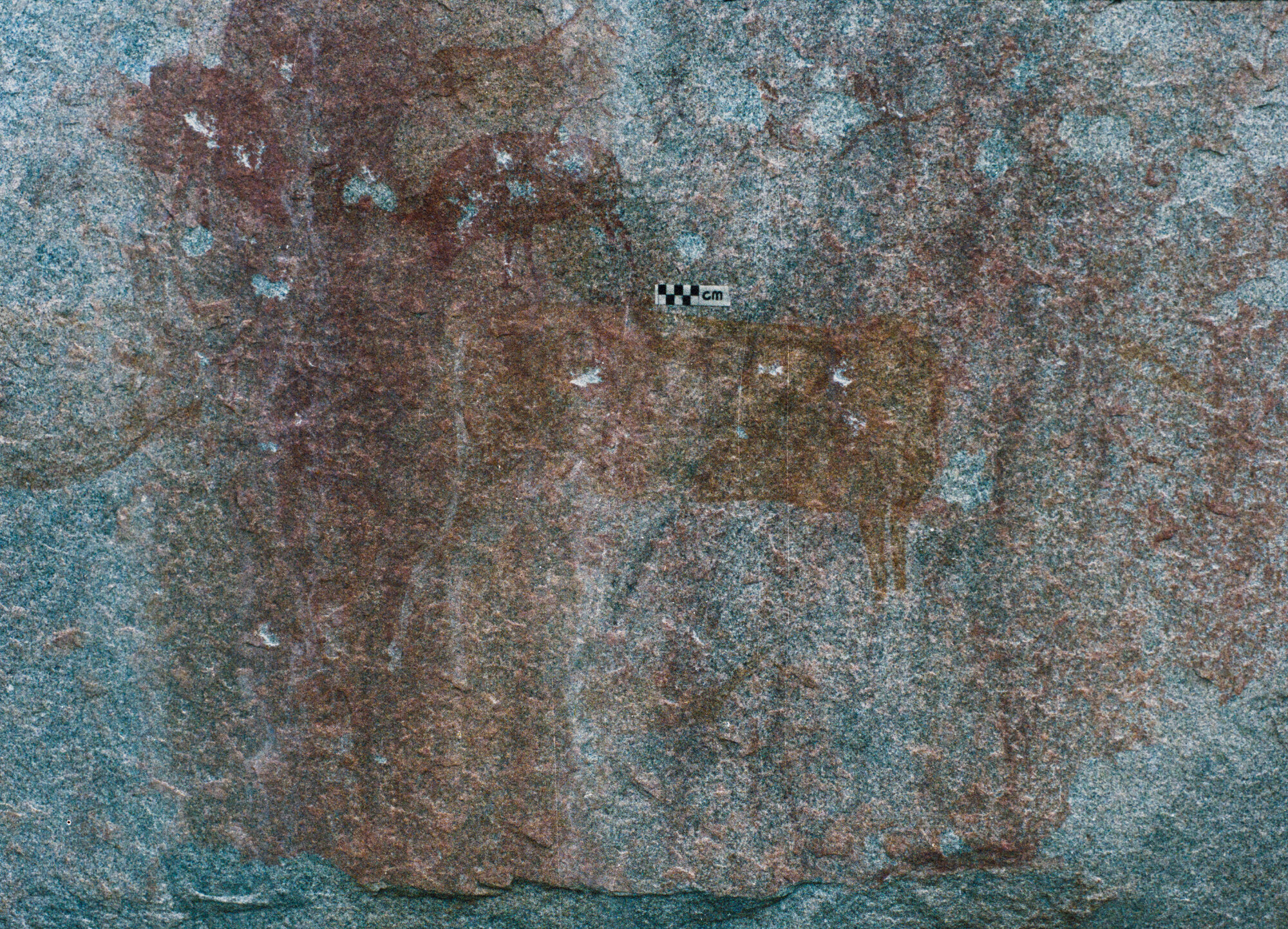 PGN_Box_001_P00259-00308_0012