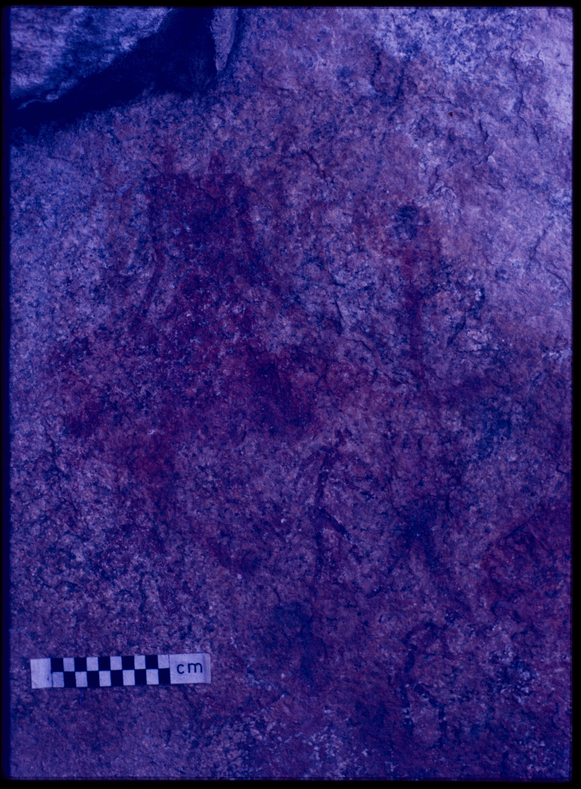 07022