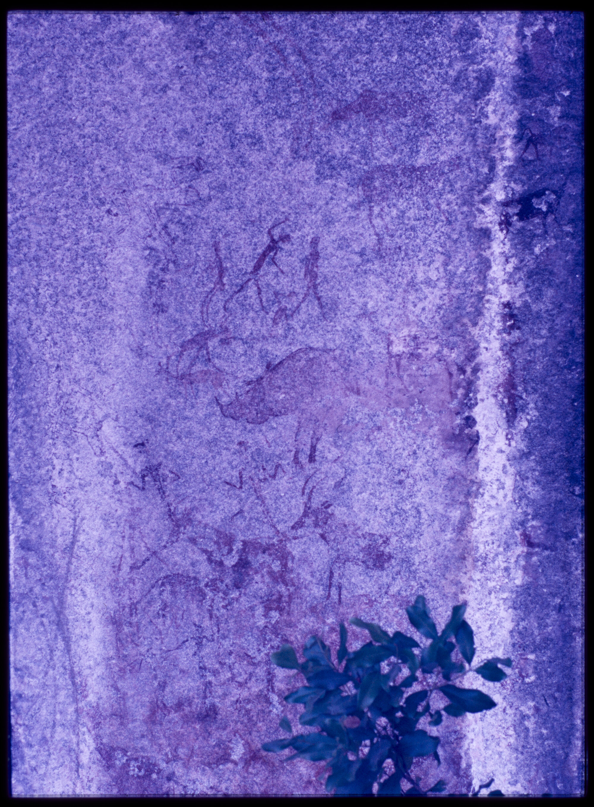 07066