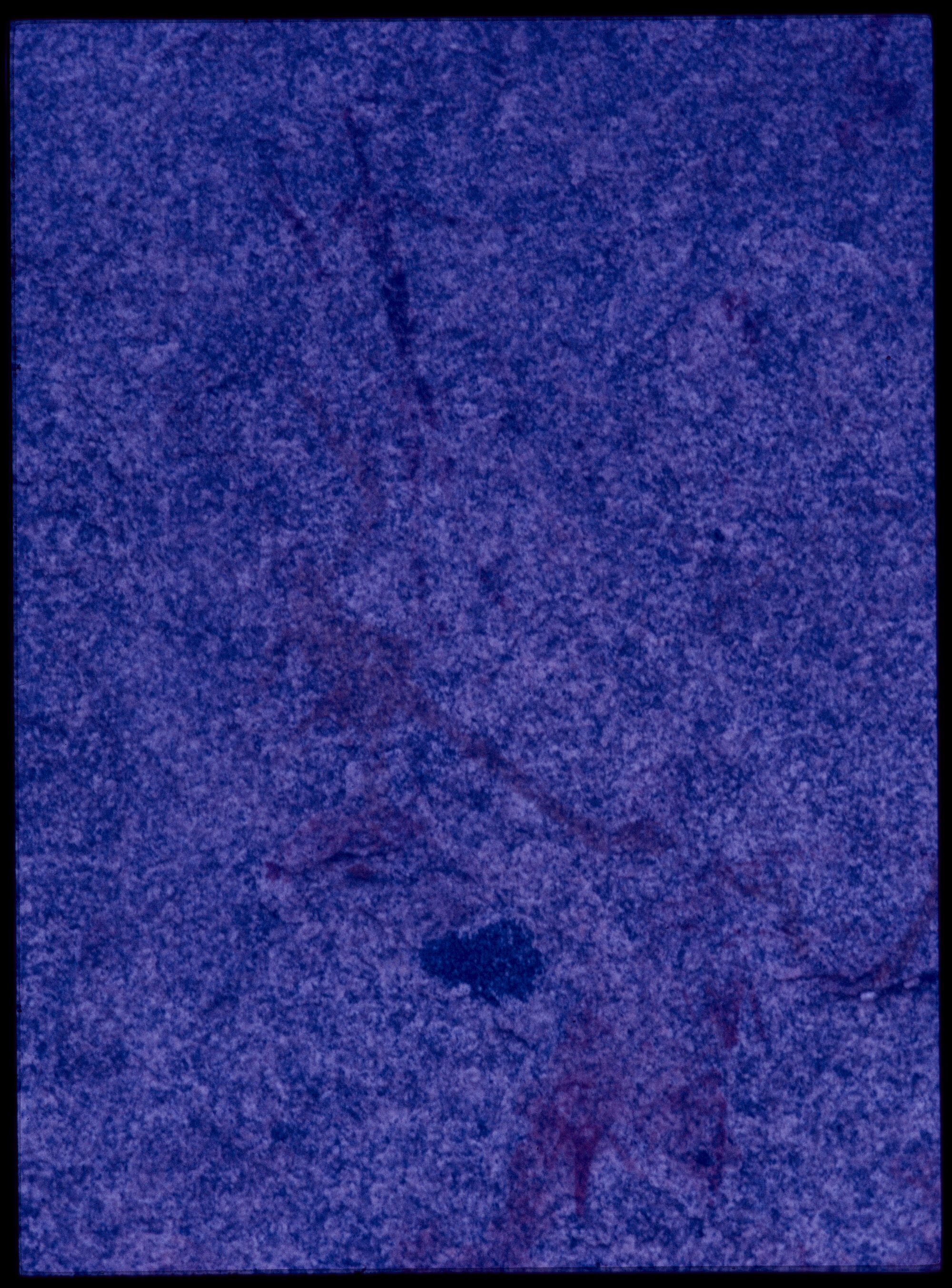 07077