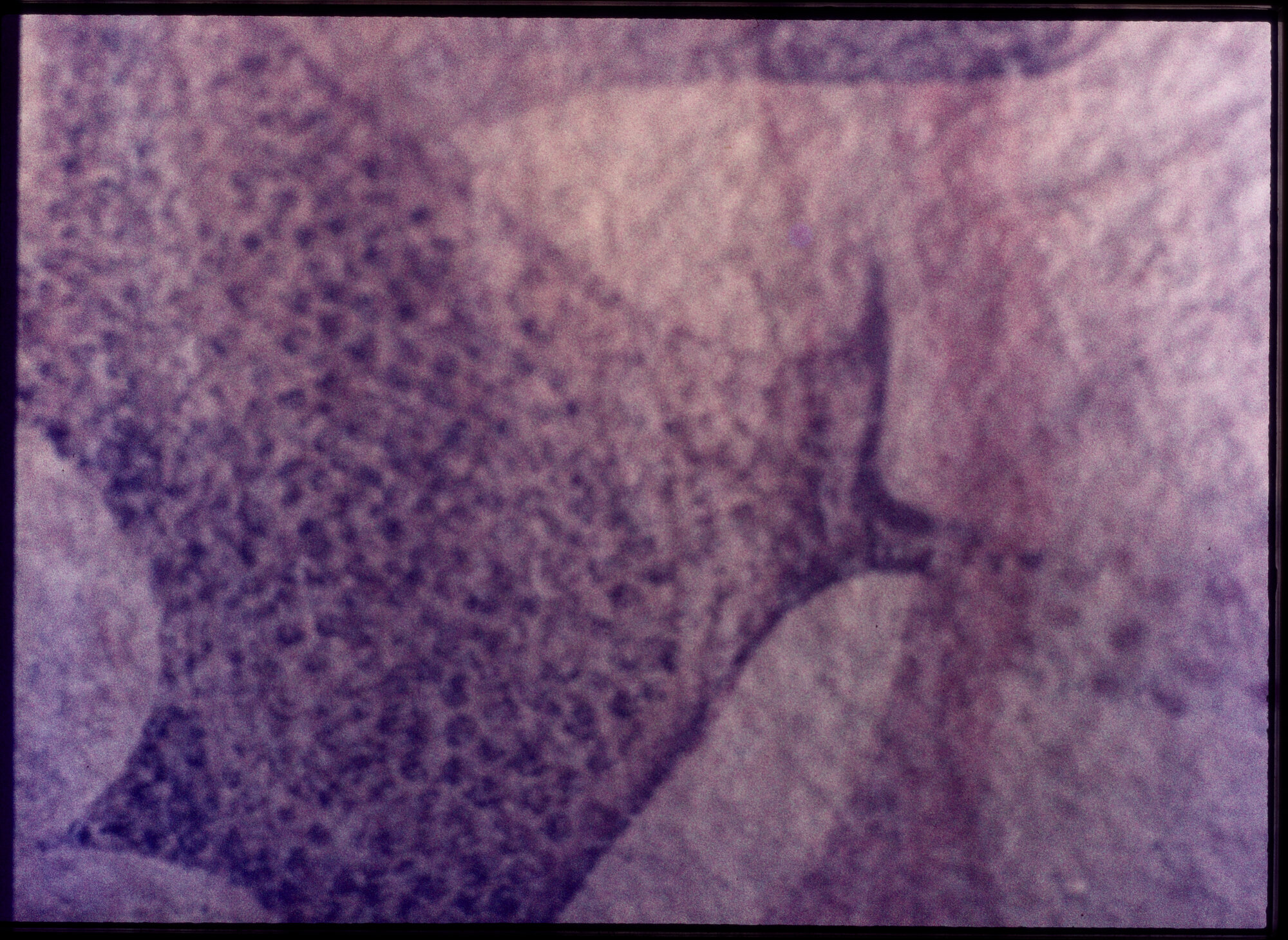 07409