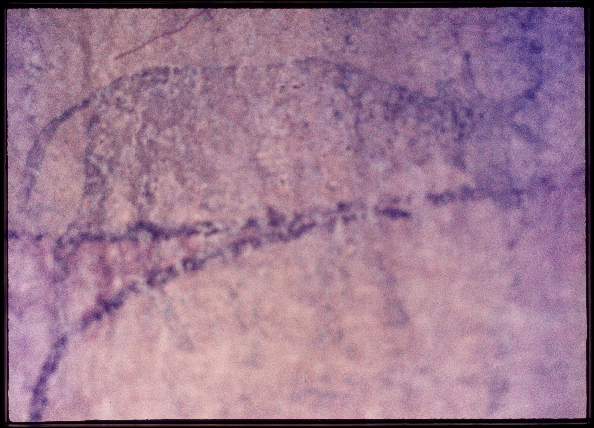 07410