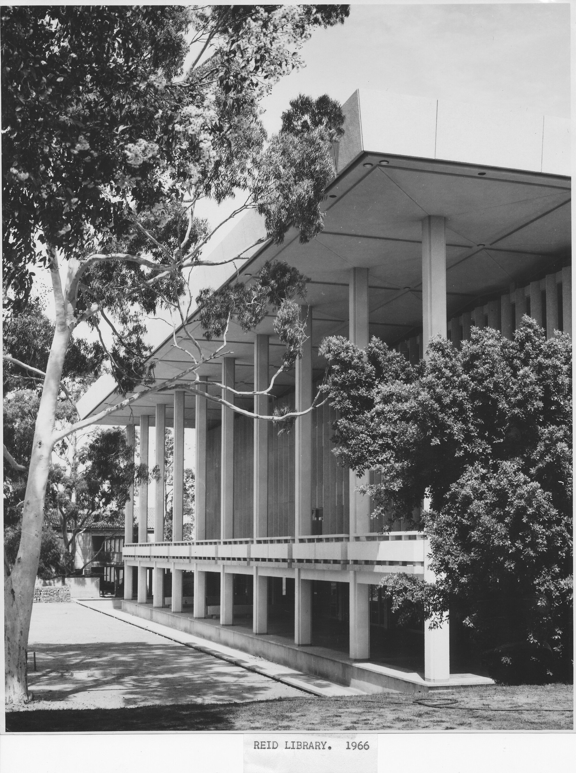 280P - Reid Library - View of north facing terrace from west - no water in moat - 1966