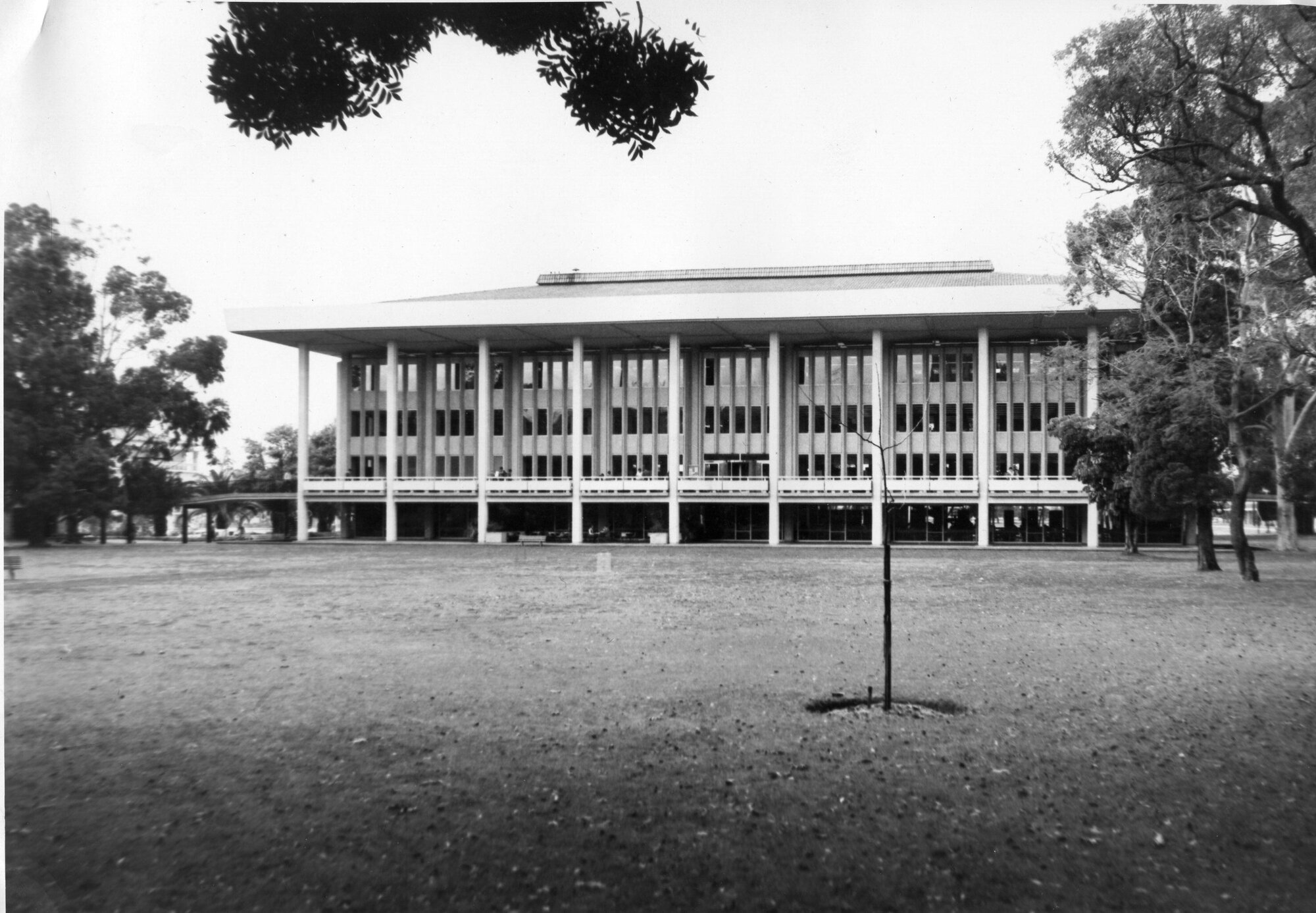 285P - View of north elevation of Reid Library from Great Court - 1966