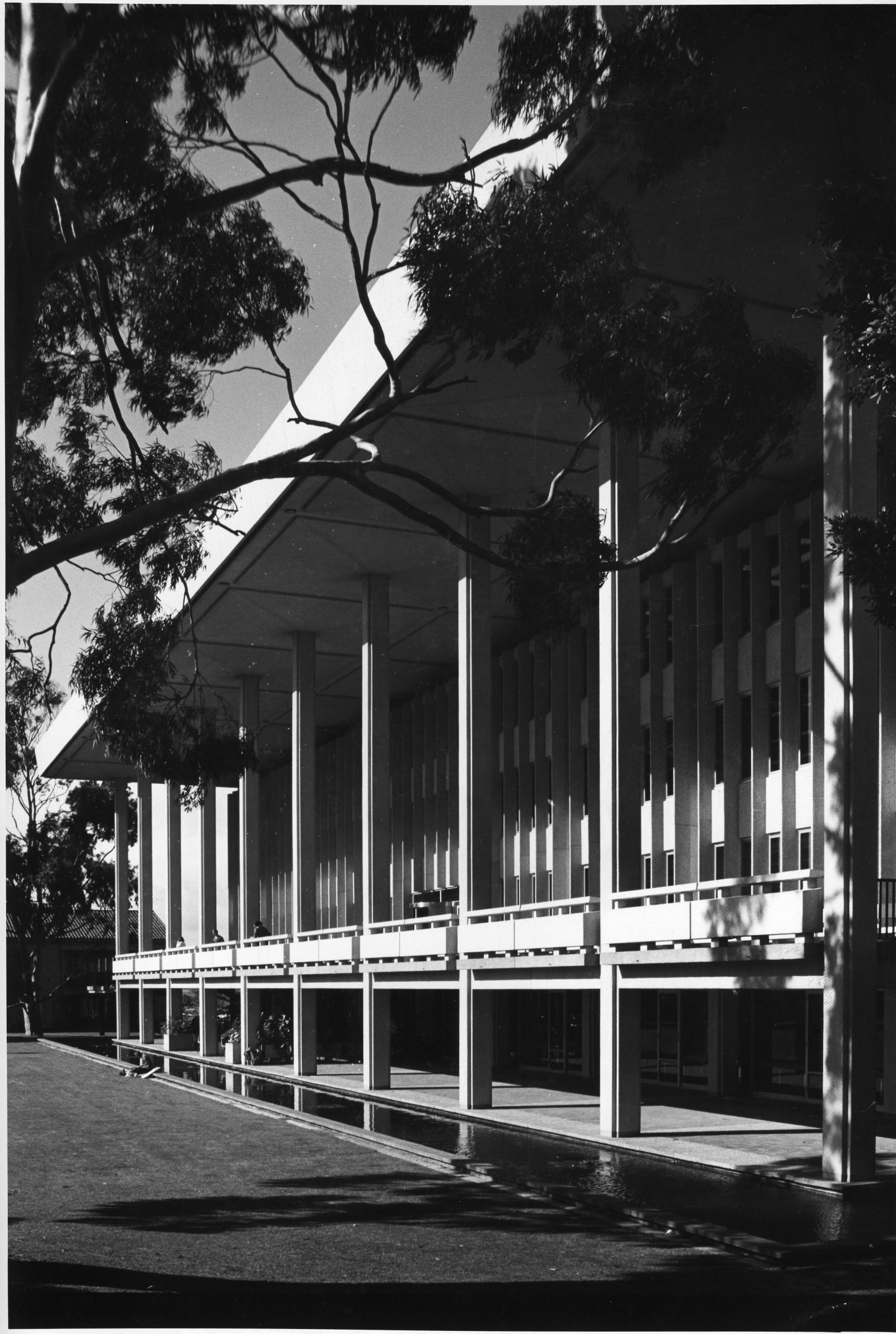 287P - Reid Library - North terrace from west