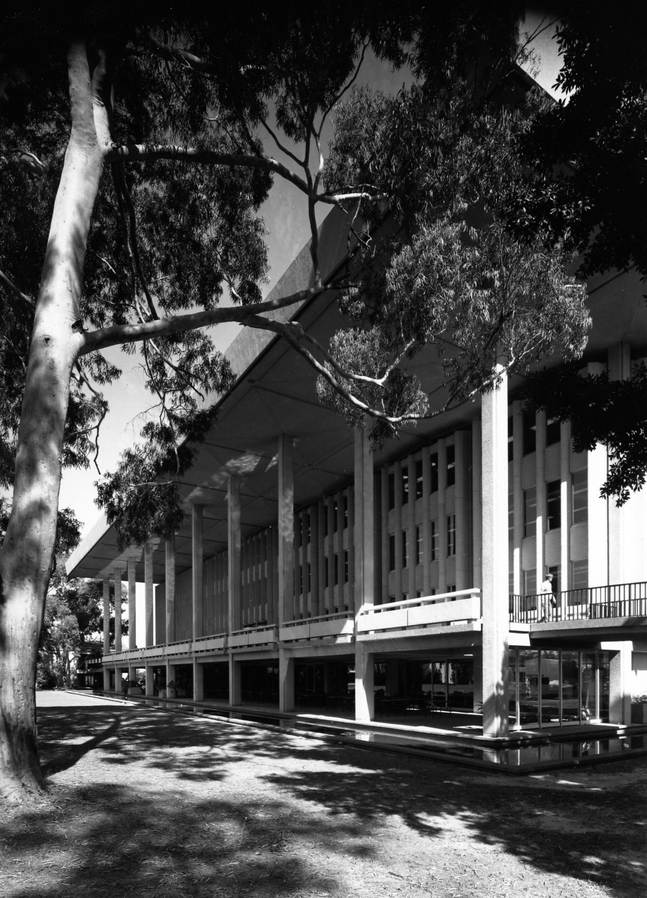 2520P - Reid Library - Ground level exterior view from north west corner
