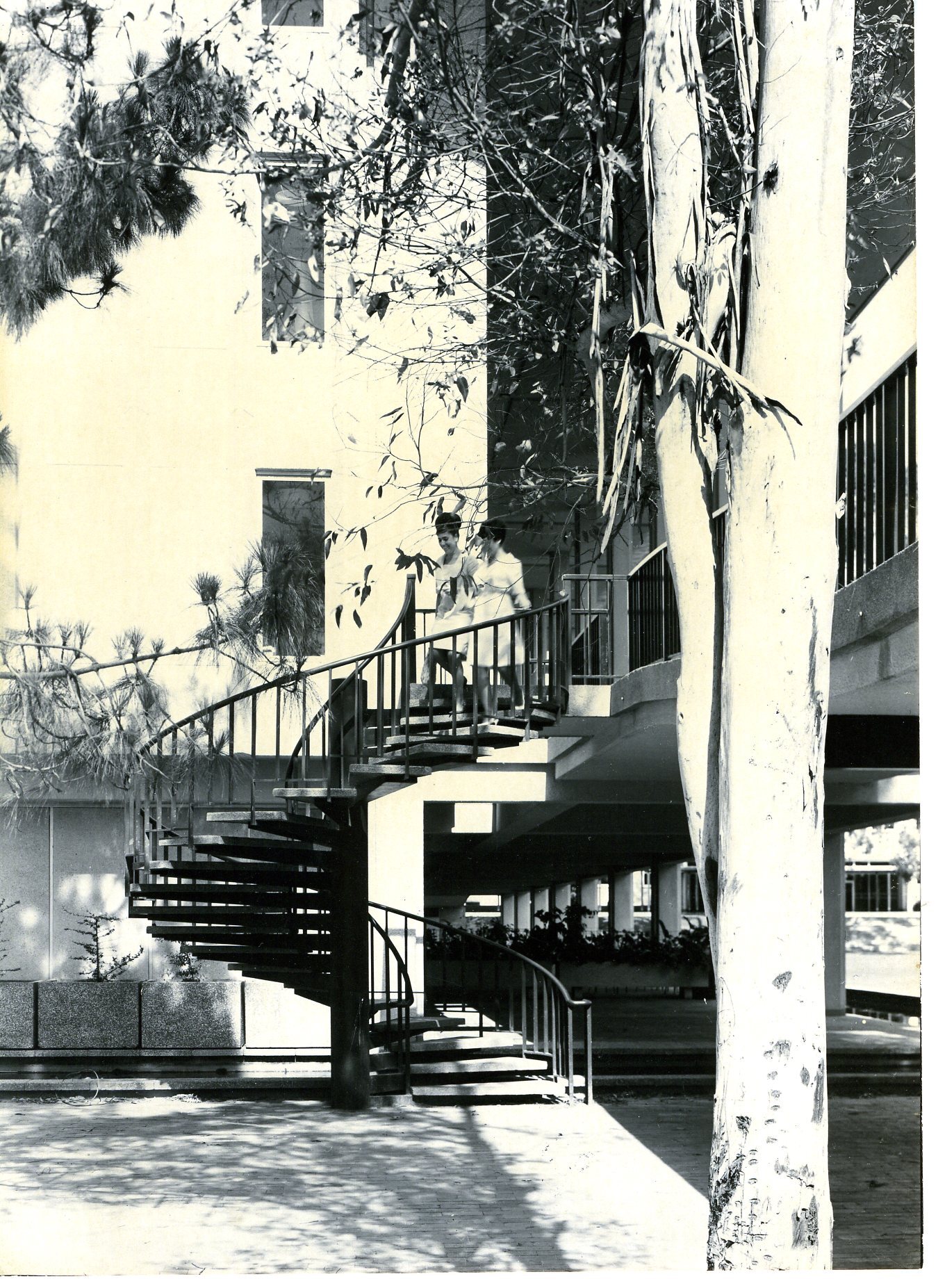 2528P - 2 female students at top of Reid Library external spiral stairs