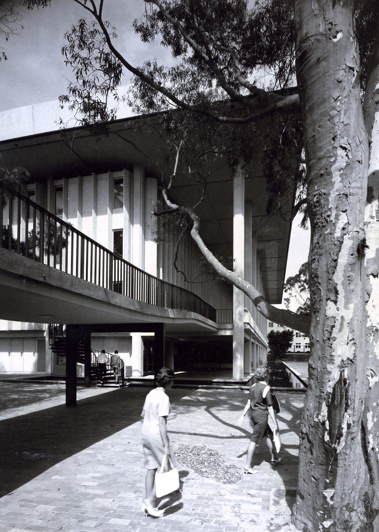 2529P - View of Arts bridge to Reid Library - Gum Tree - Students