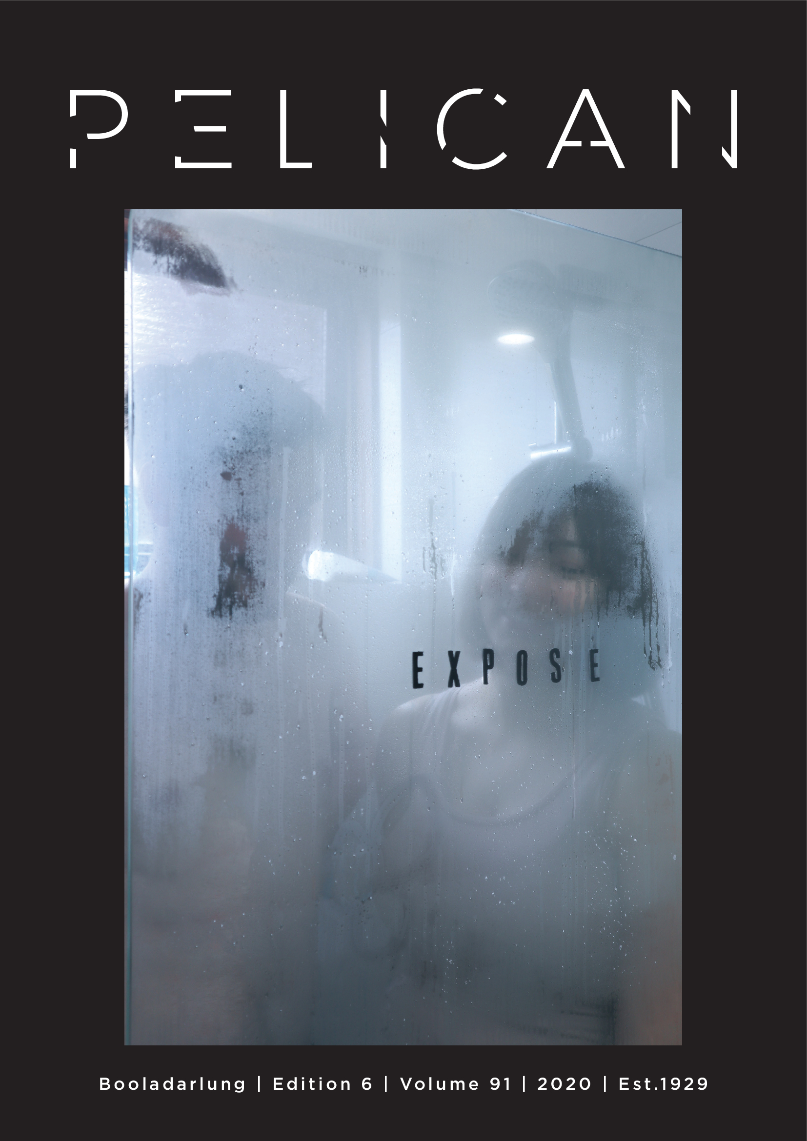 The Pelican, Vol. 91, no. 6 (2020)