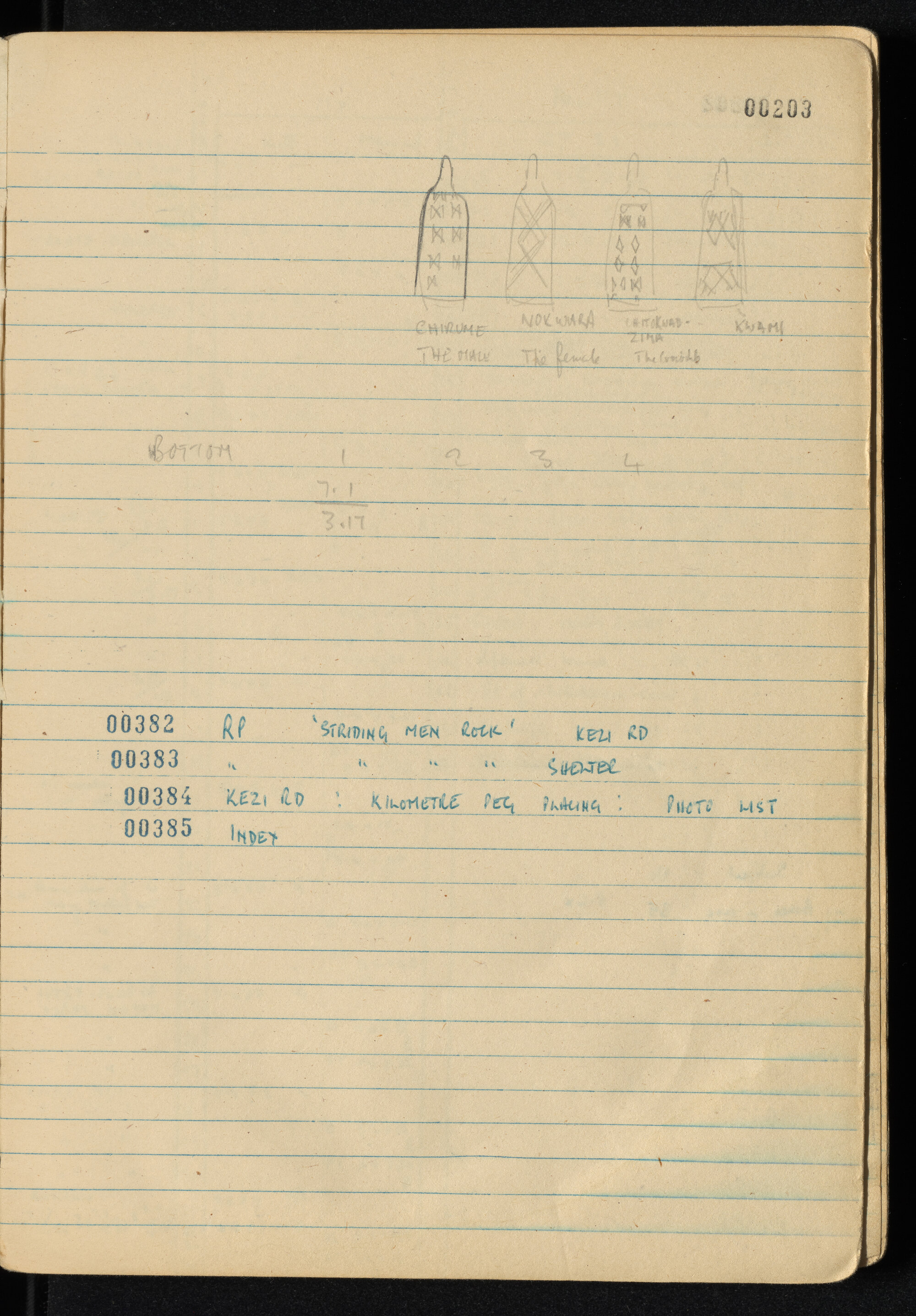 Peter Genge field notes. 00203