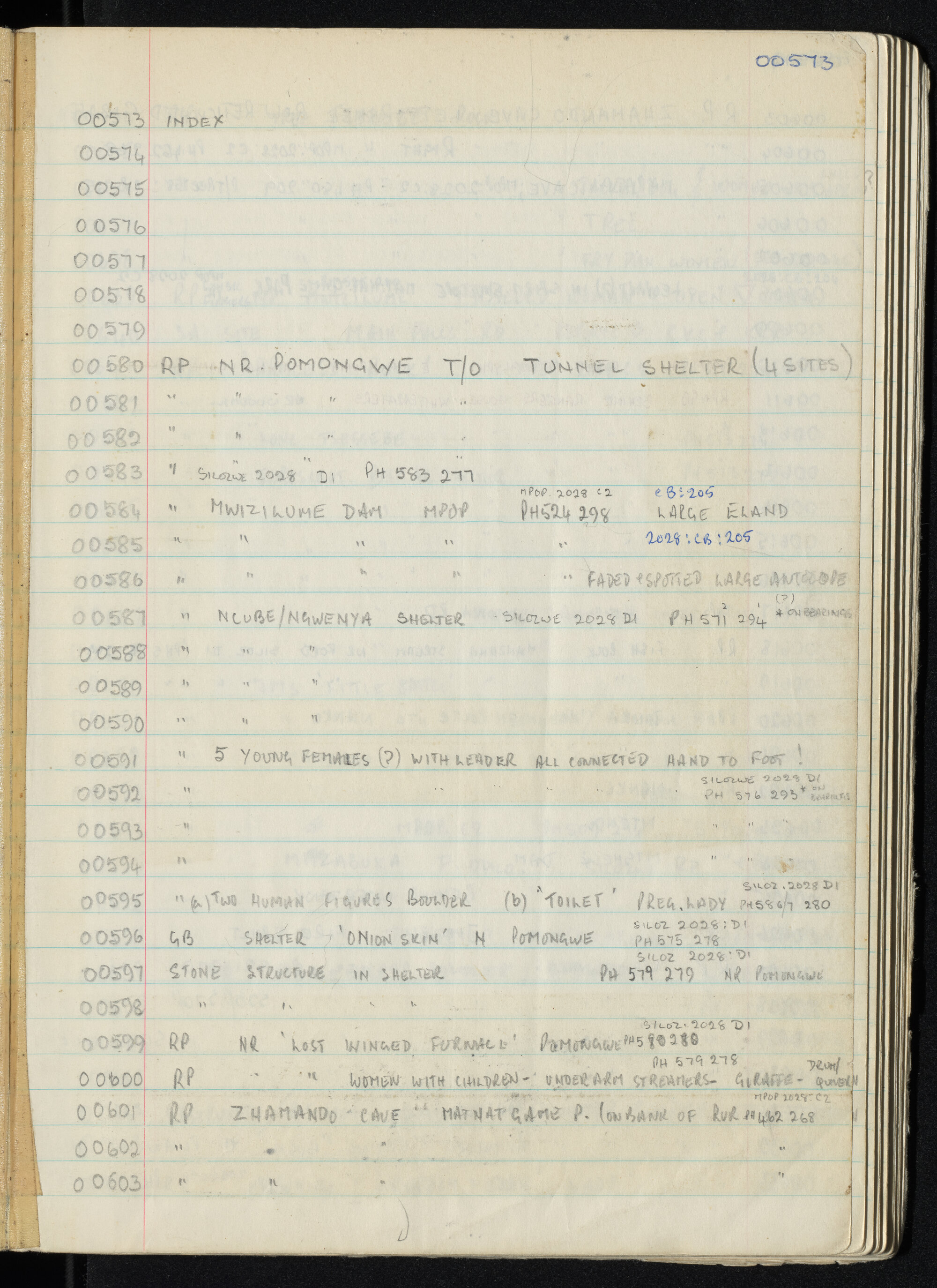 Peter Genge field notes. 00573