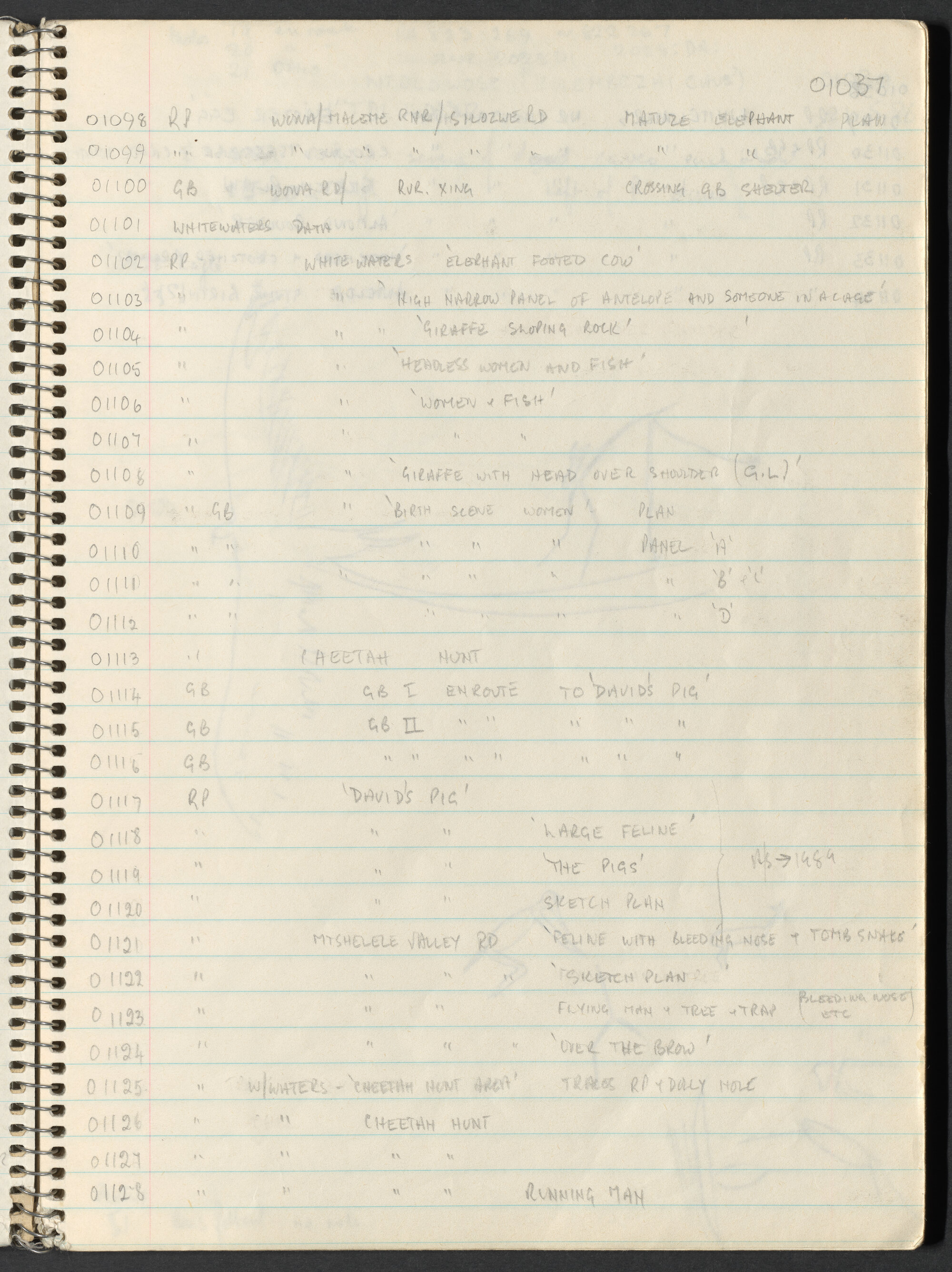 Peter Genge field notes. 01037