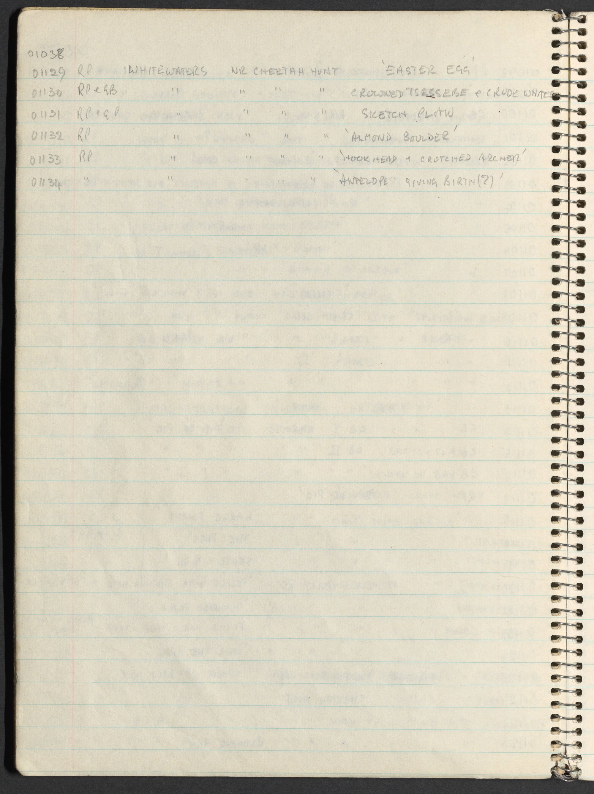 Peter Genge field notes. 01038