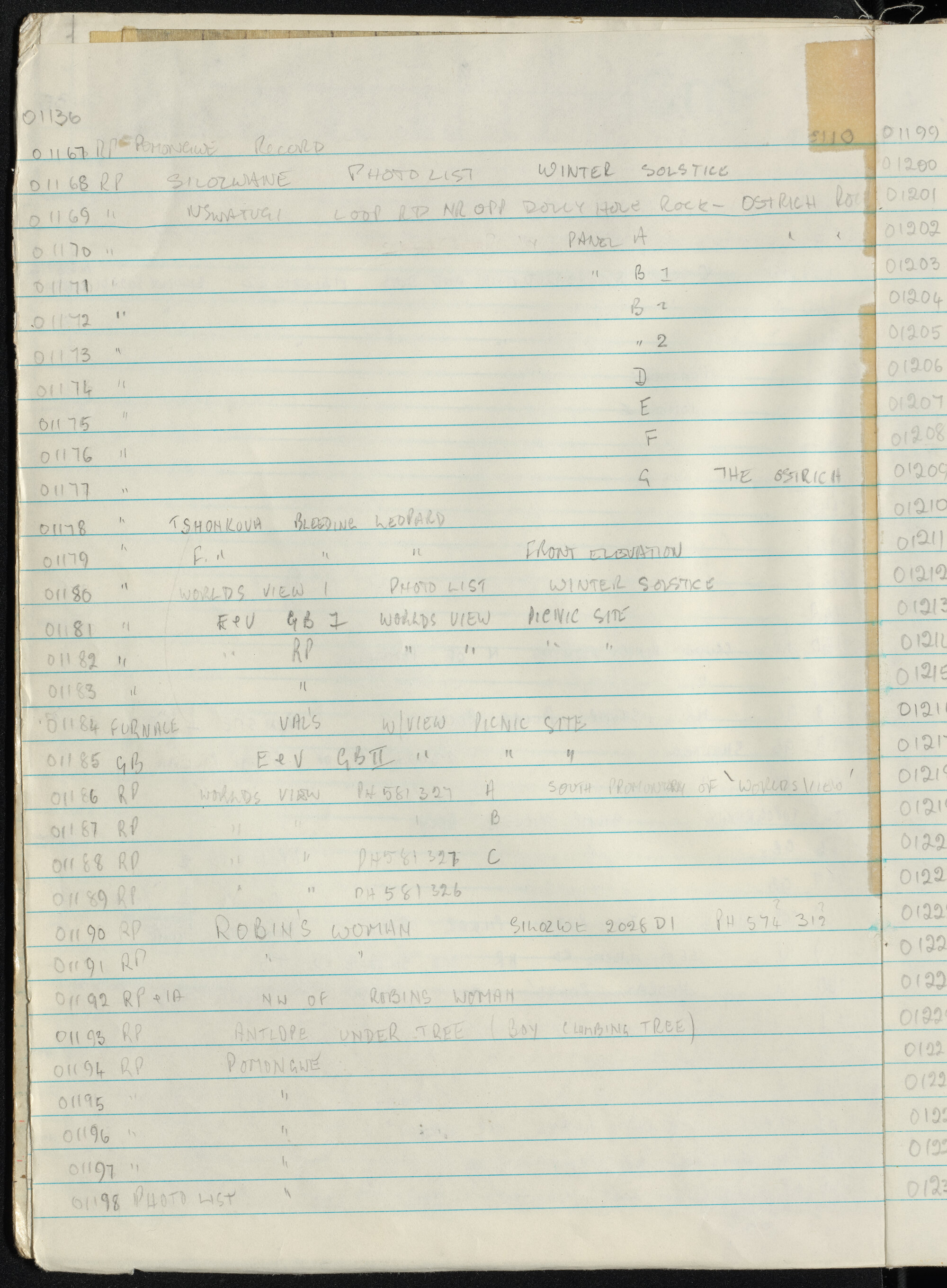 Peter Genge field notes. 01136