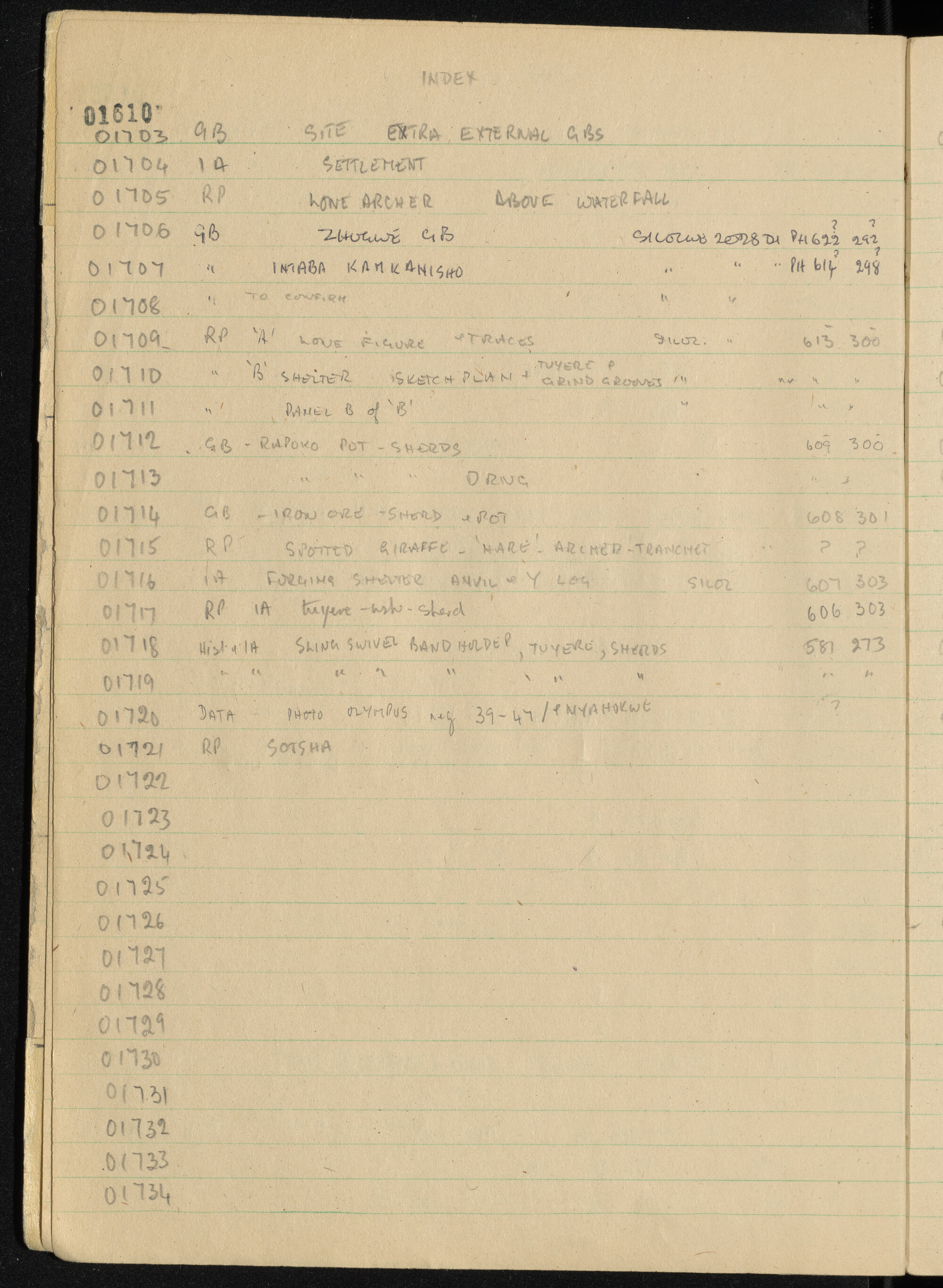 Peter Genge field notes. 01610