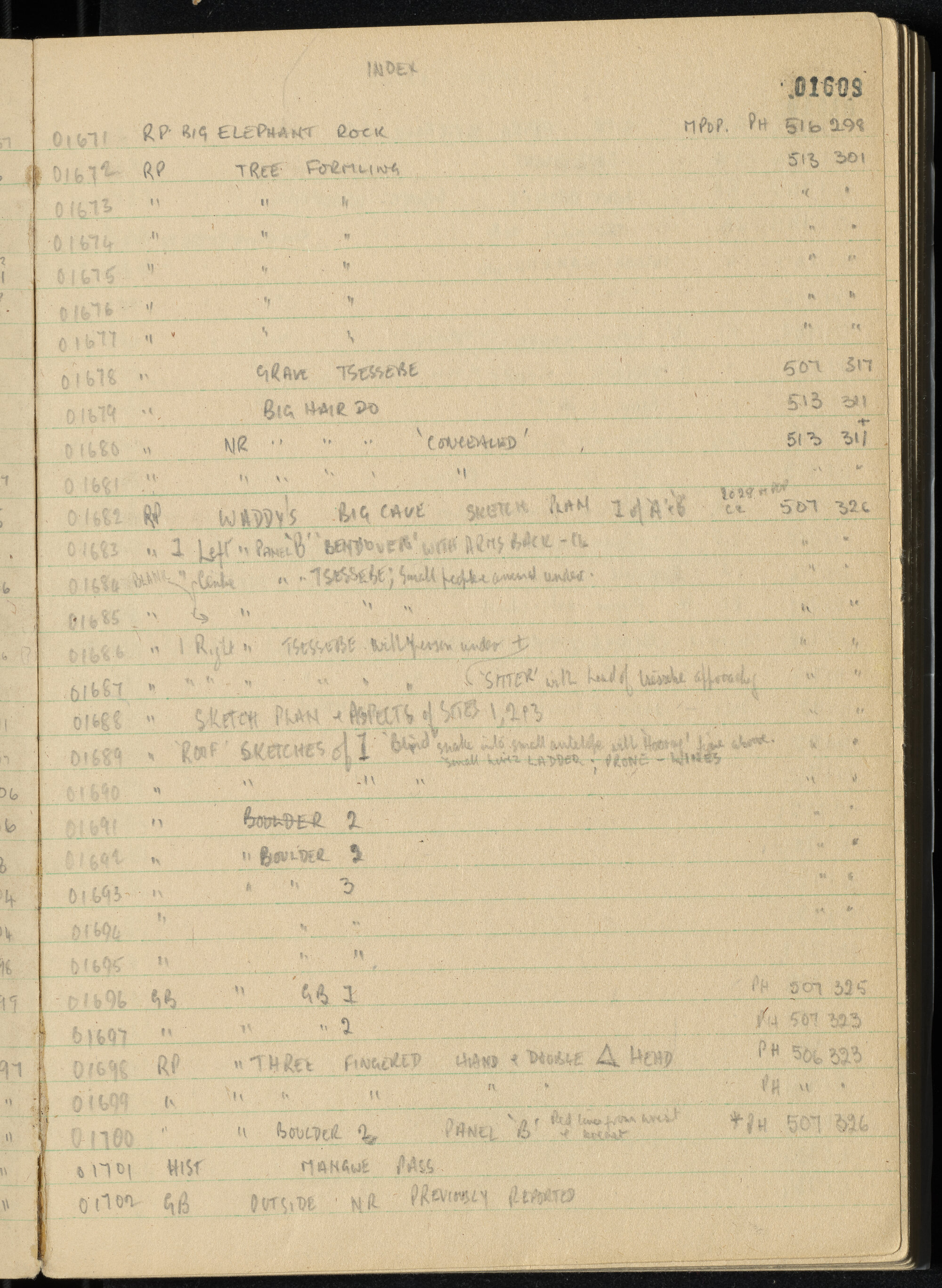 Peter Genge field notes. 01609