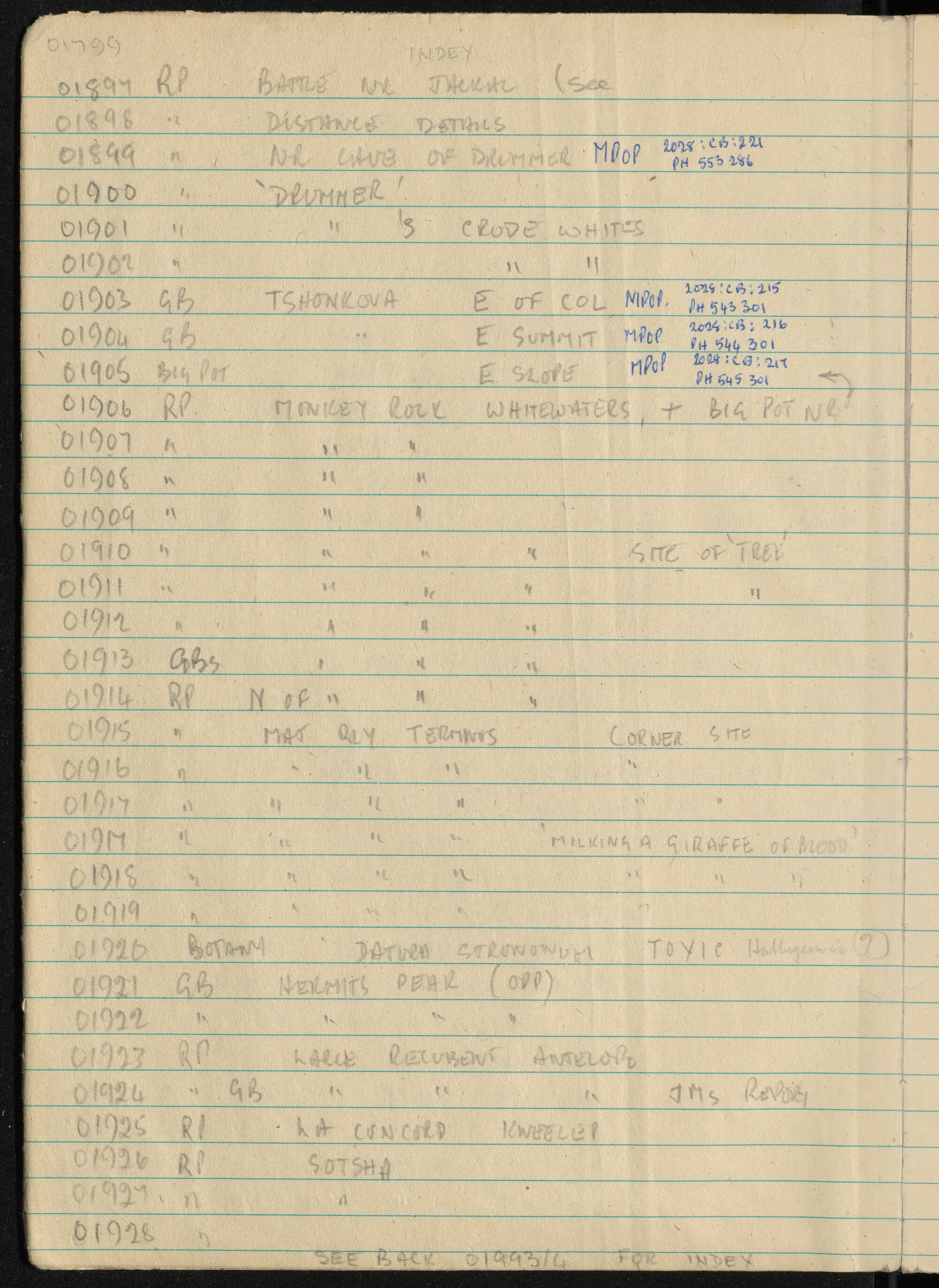 Peter Genge field notes. 01799