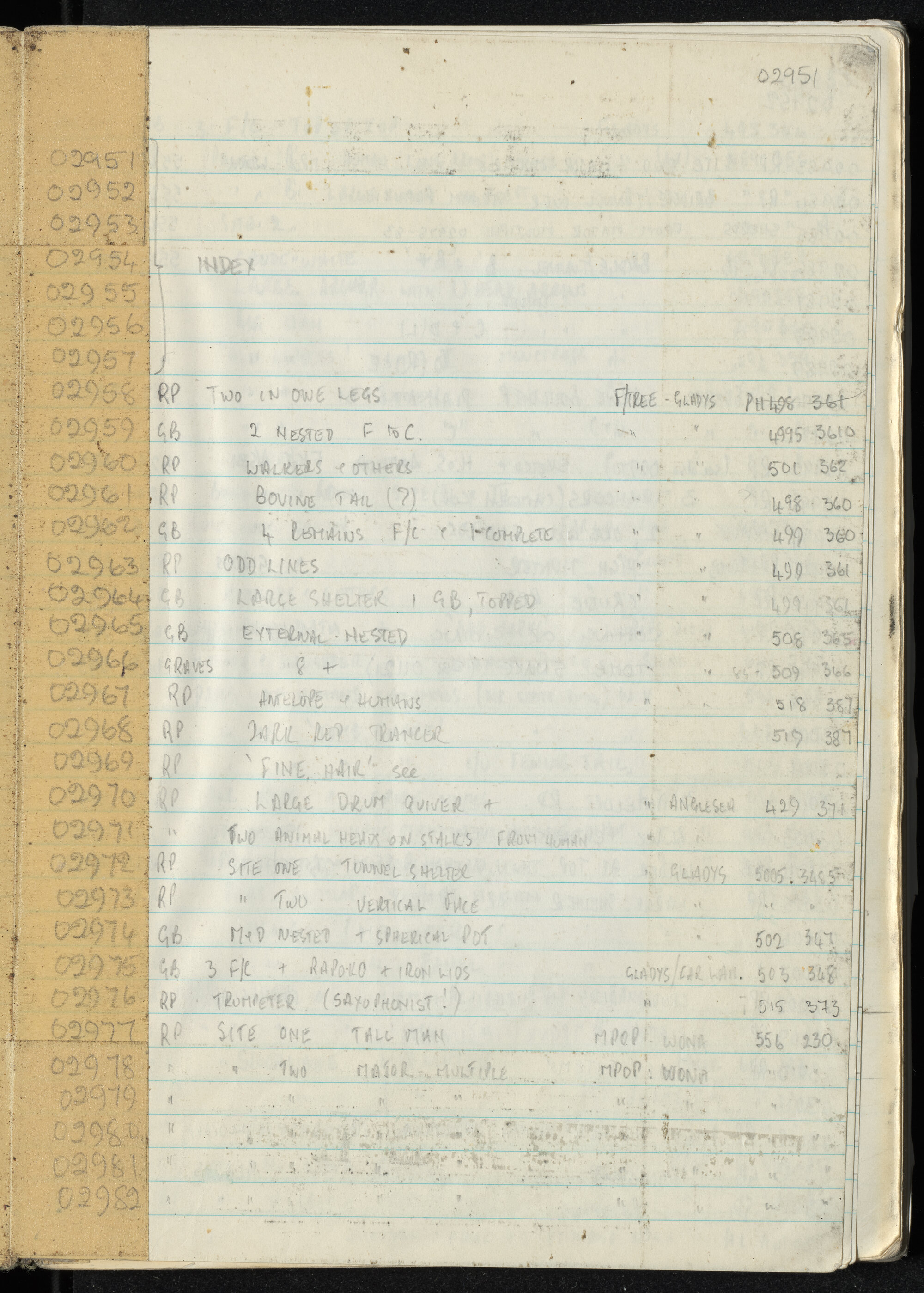Peter Genge field notes. 02951