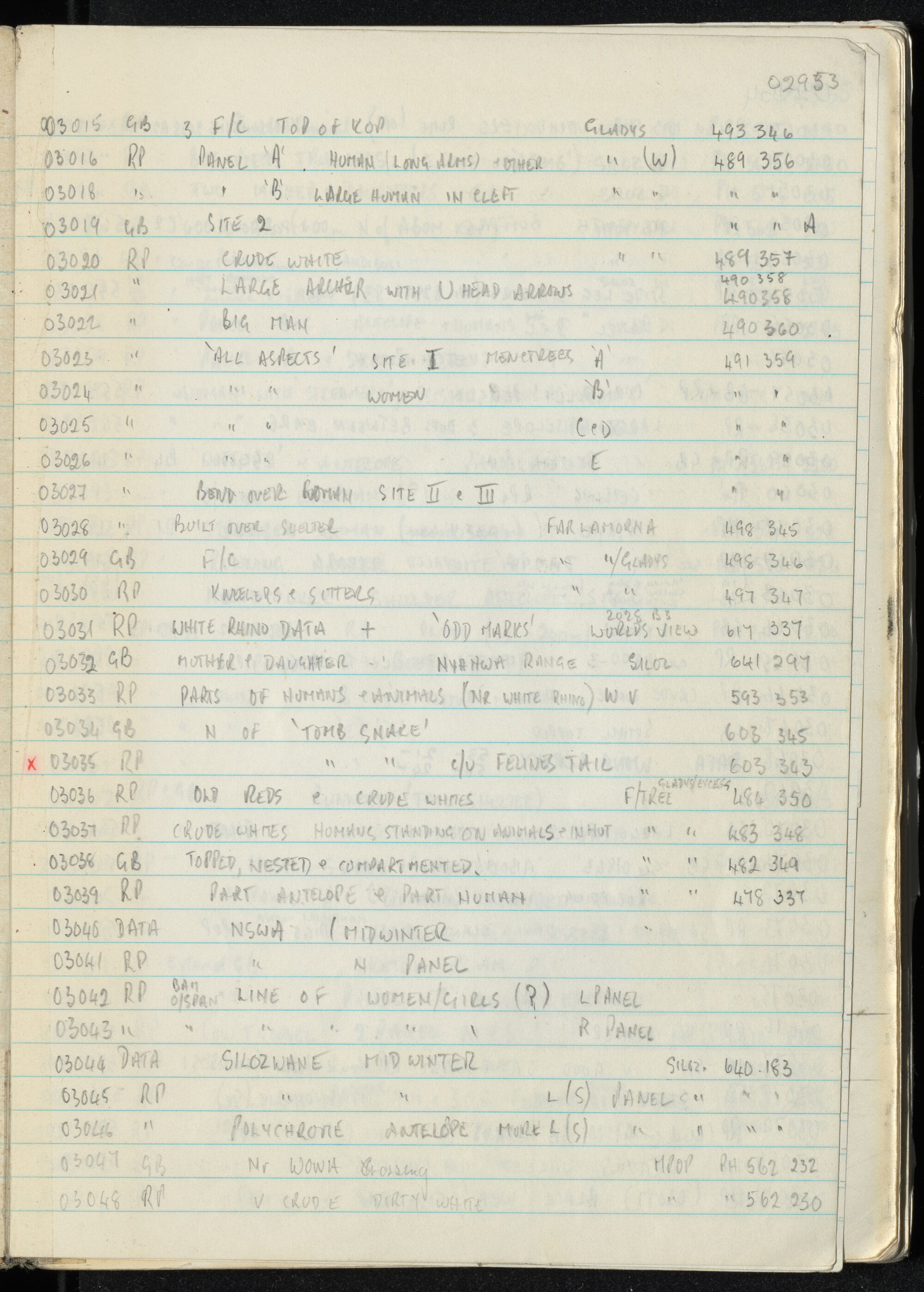 Peter Genge field notes. 02953