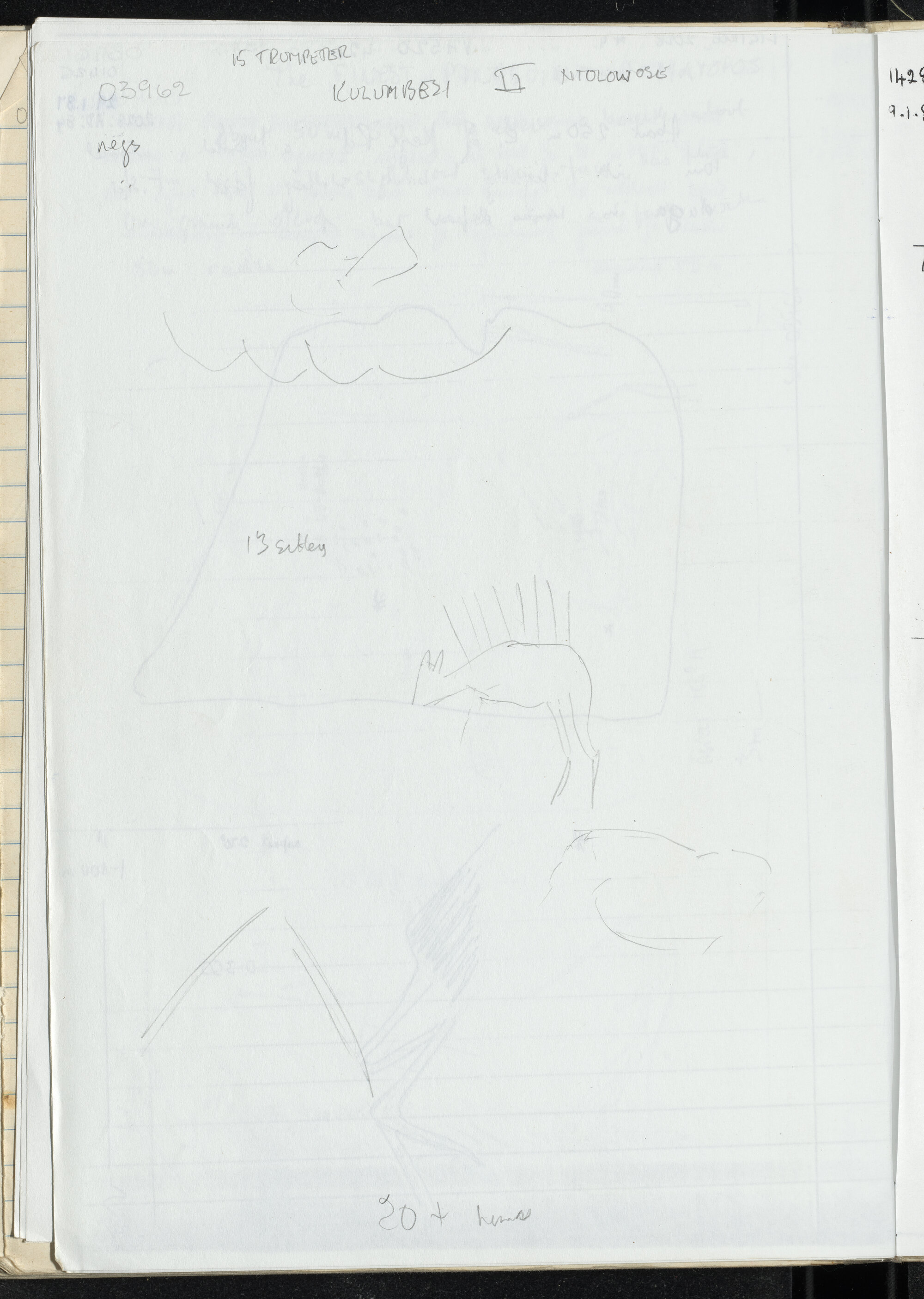 Peter Genge field notes. 03962