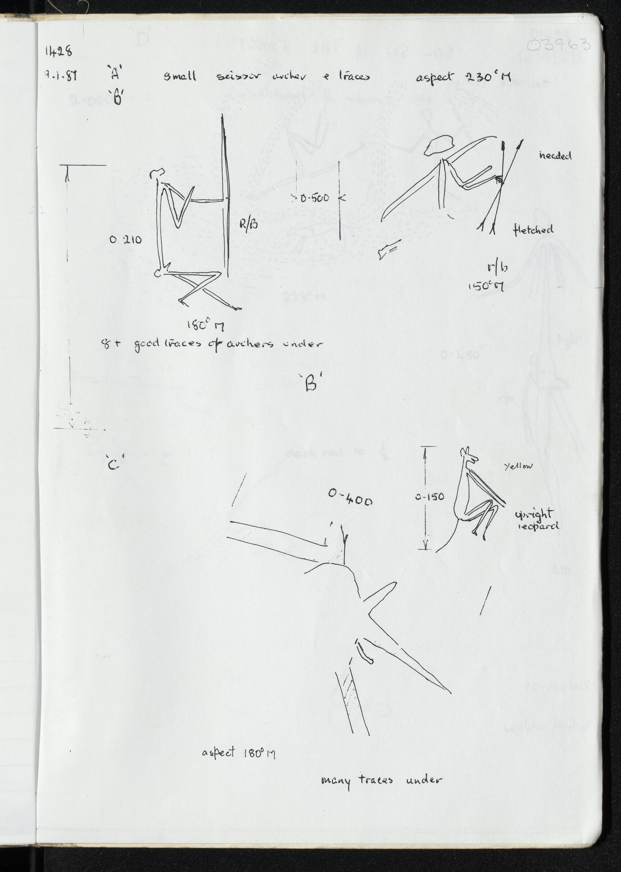 Peter Genge field notes. 03963