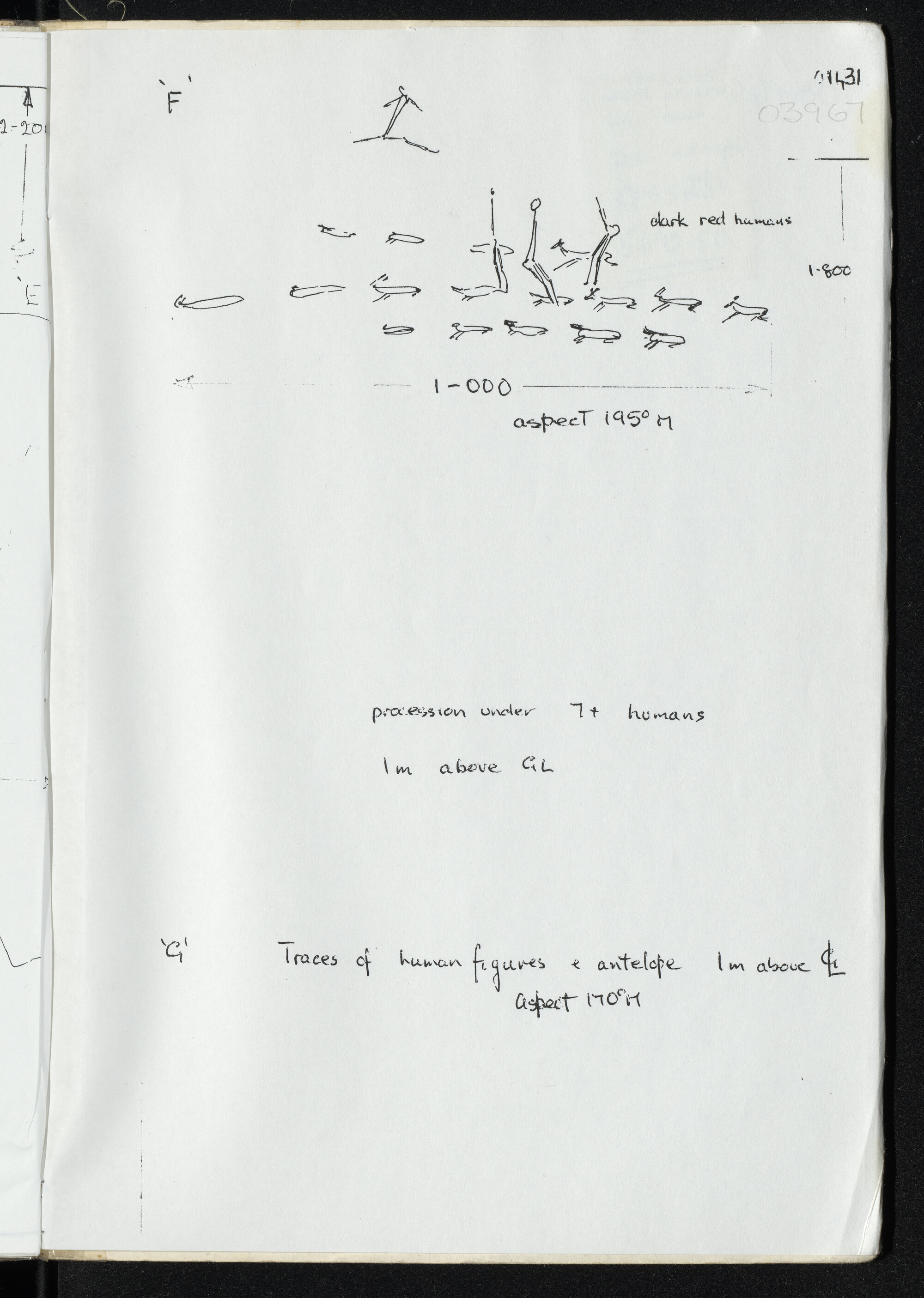 Peter Genge field notes. 03967