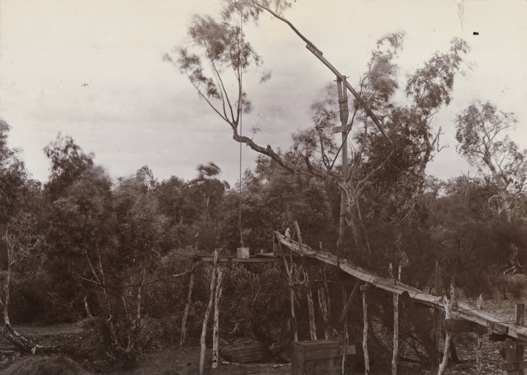 Battye photograph 24028P