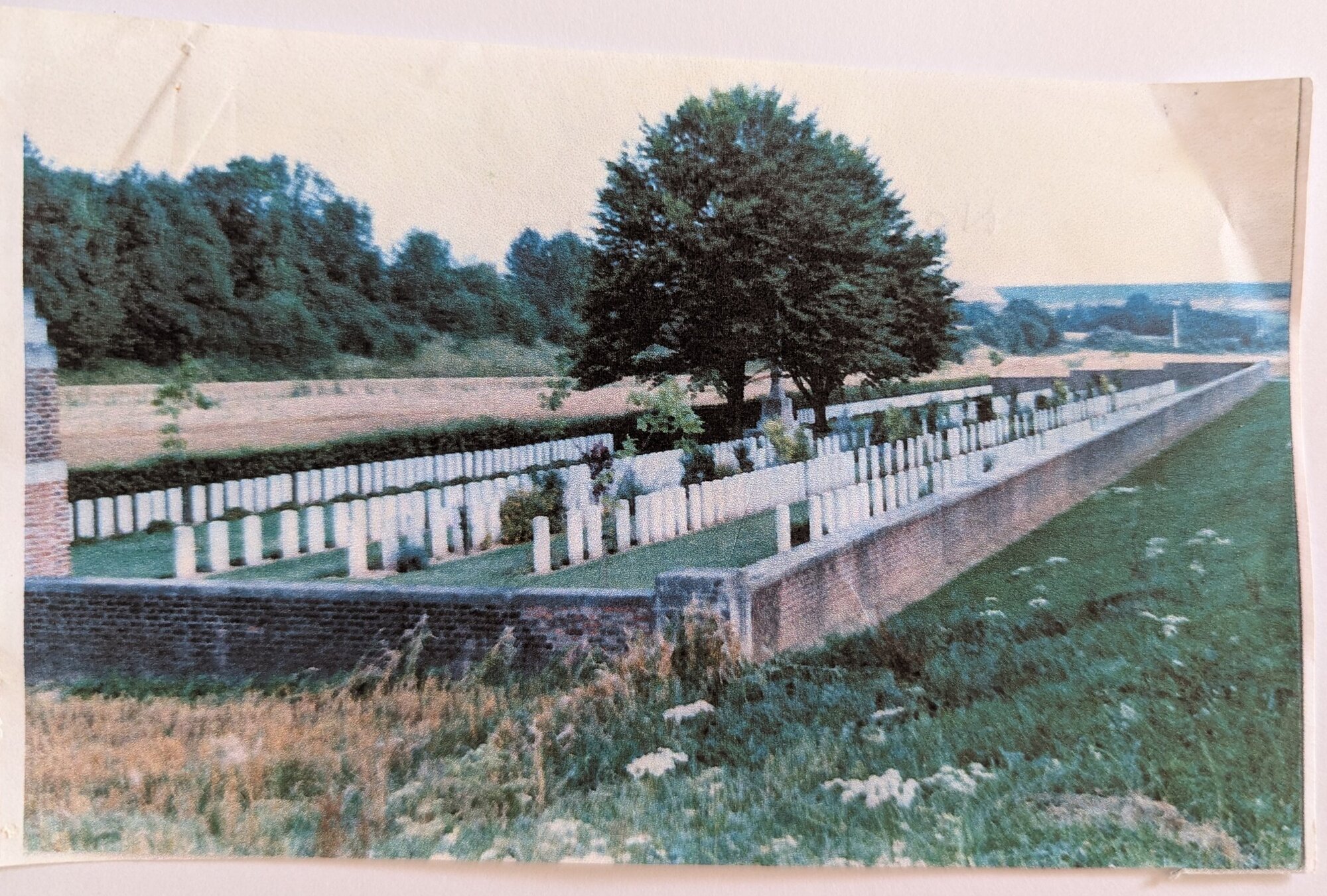 Alfred Shanhun - photo of grave