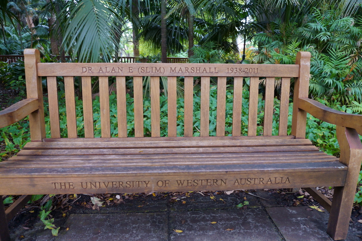 62795P - UWA Benches Project - MARSHALL : DR ALAN E (SLIM) MARSHALL 1938-2011 - Tropical Grove - Close Up