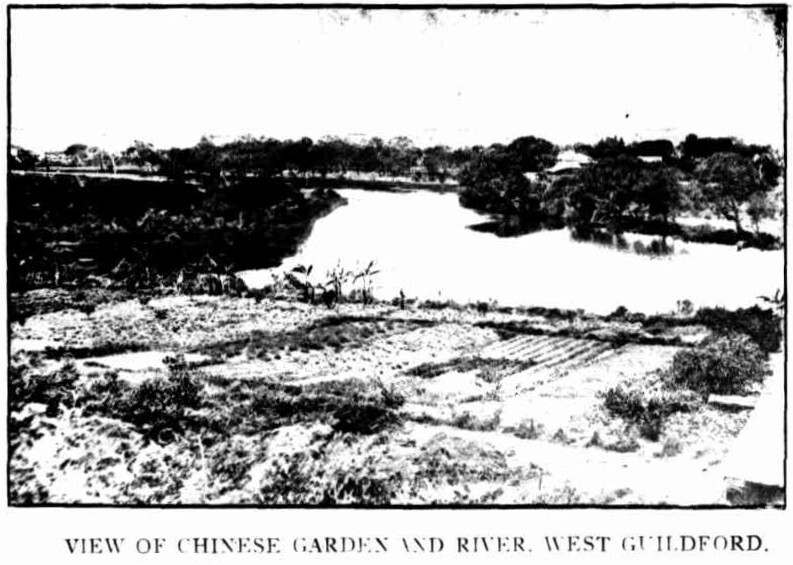 View of Chinese Market garden and Swan River, West Guildford