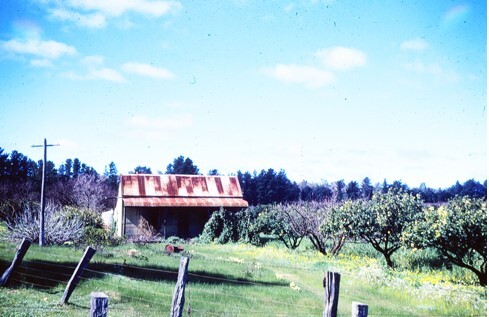 House of Chuck Sing in Walliston