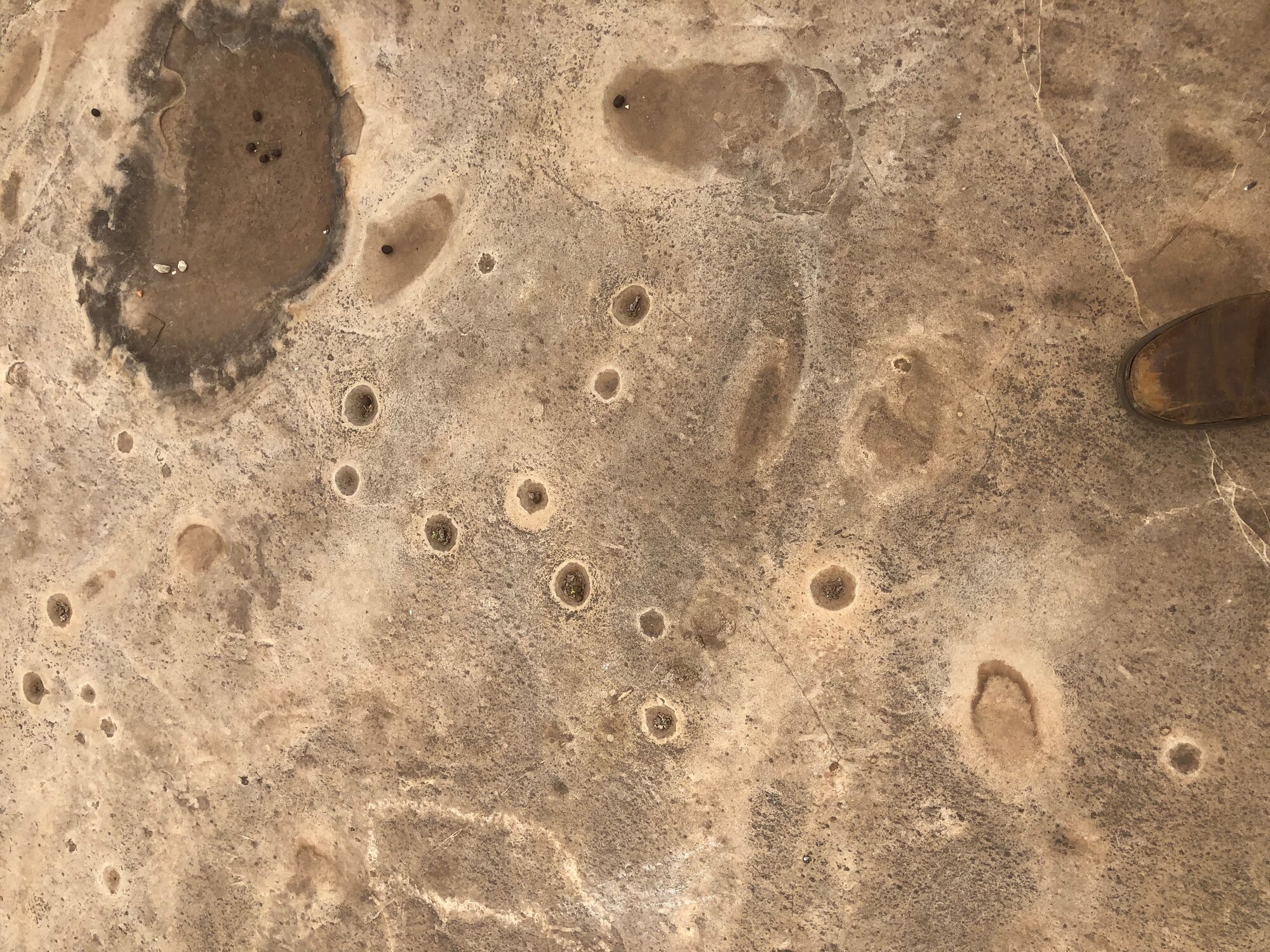 Mtetengwe petroglyph site cupules 2020.09 (1).jpeg