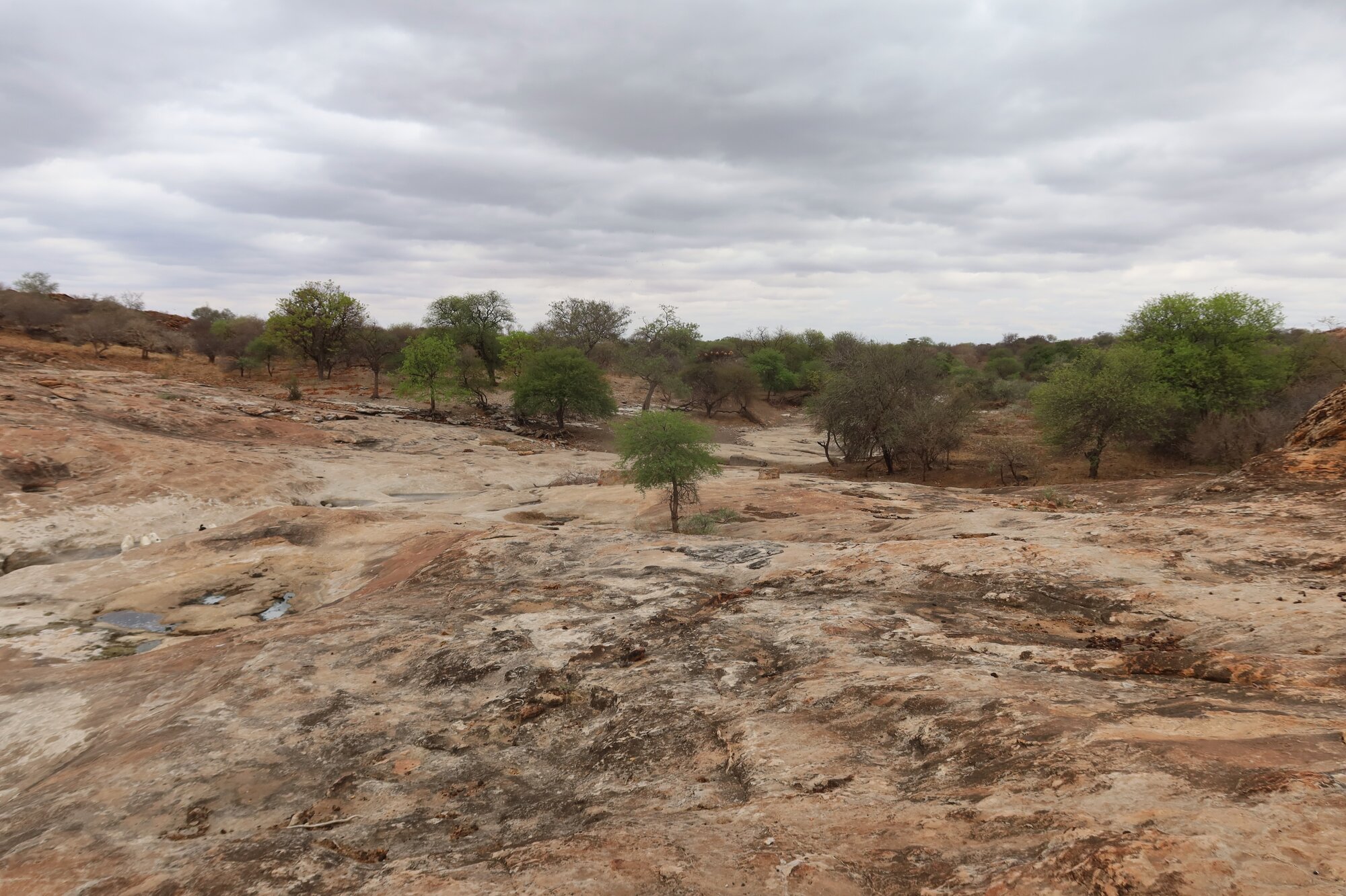 Mtetengwe petroglyph site environs 2021.10 (2).jpeg