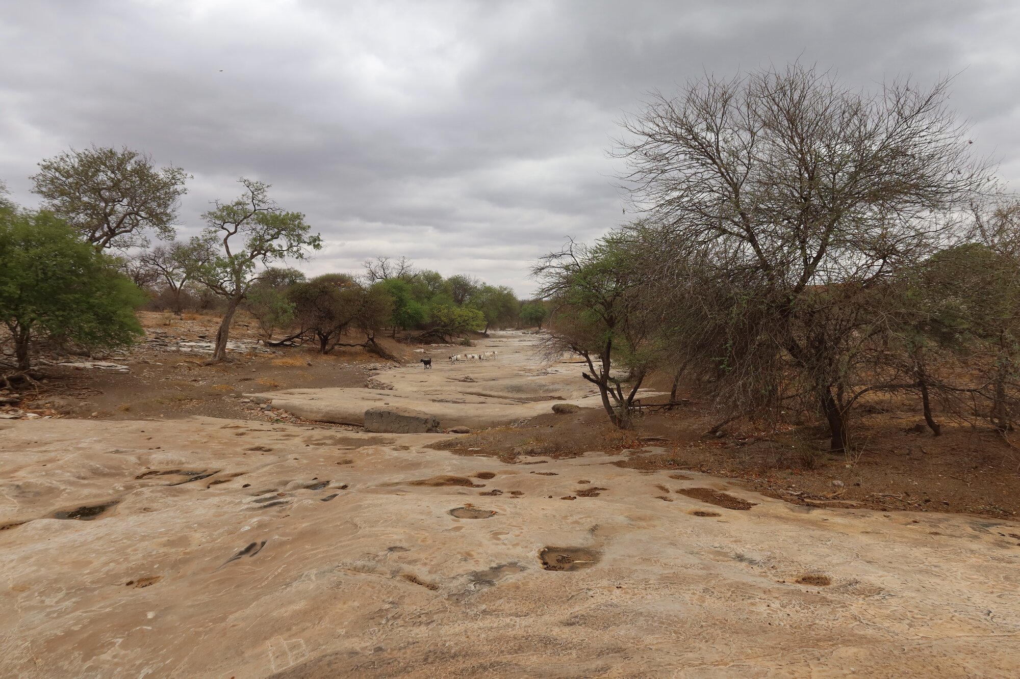 Mtetengwe petroglyph site environs 2021.10 (1).jpeg