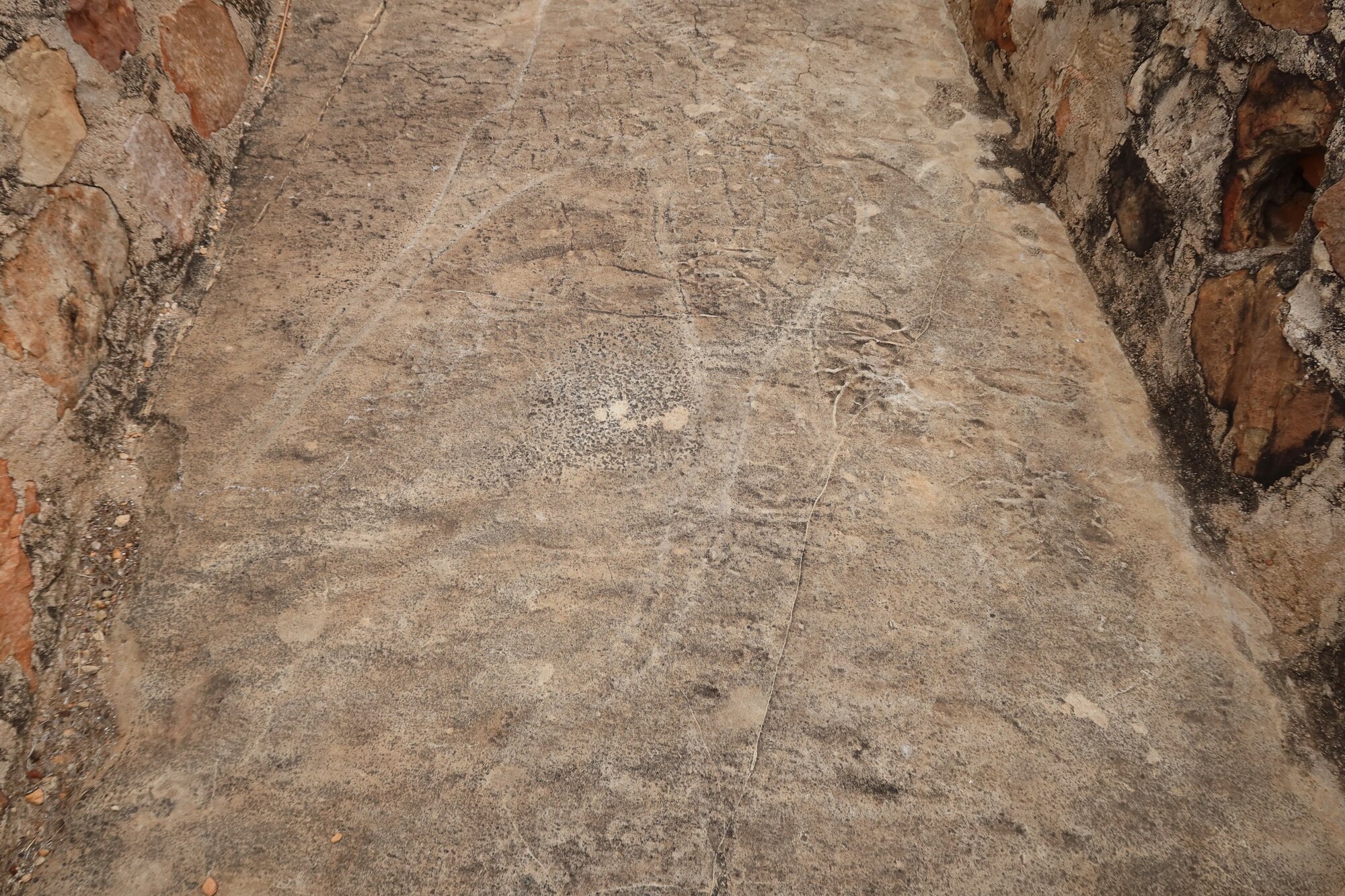 Mtetengwe petroglyph site giraffe 2021.10 (4).jpeg