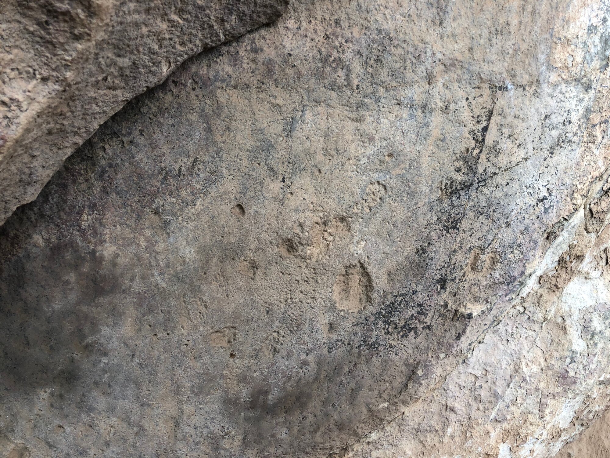 Nottingham Ranch 7 spoor engraving 2020.09 (1).jpeg