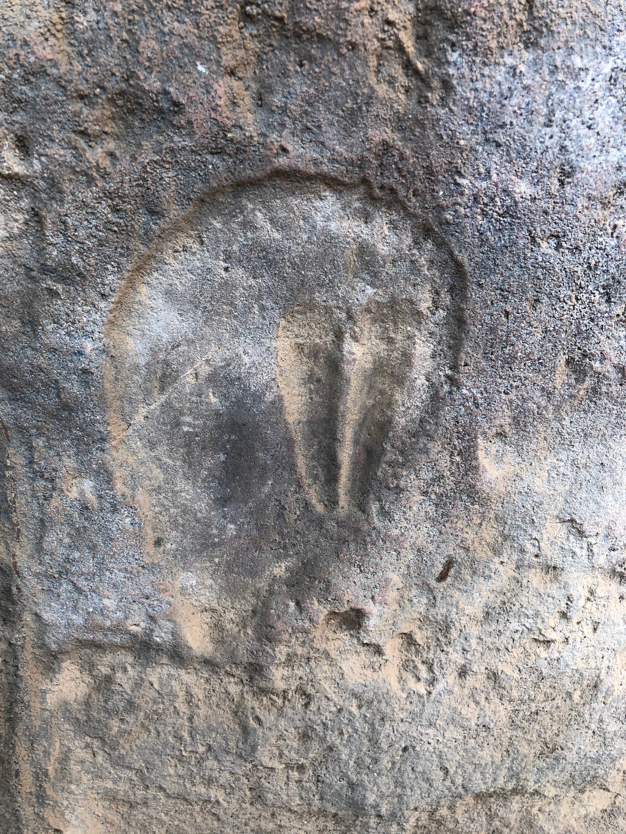 Nottingham Ranch 7 spoor engraving 2020.09 (2).jpeg