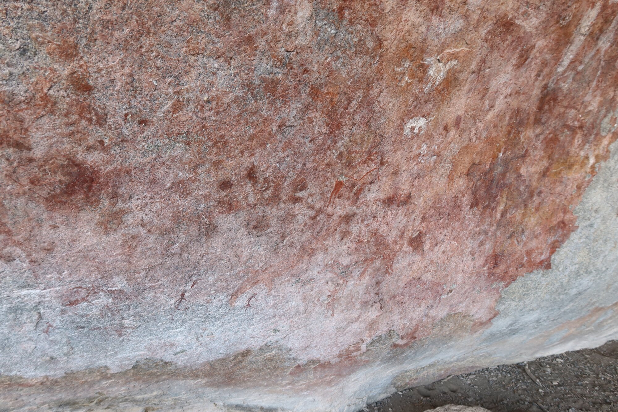 Chikupu MAIN cave 2022.10.12 (3).jpeg