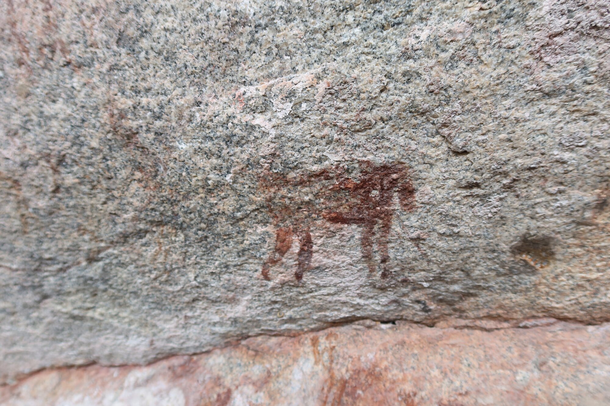 Chikupu MAIN cave 2022.10.12 (10).jpeg
