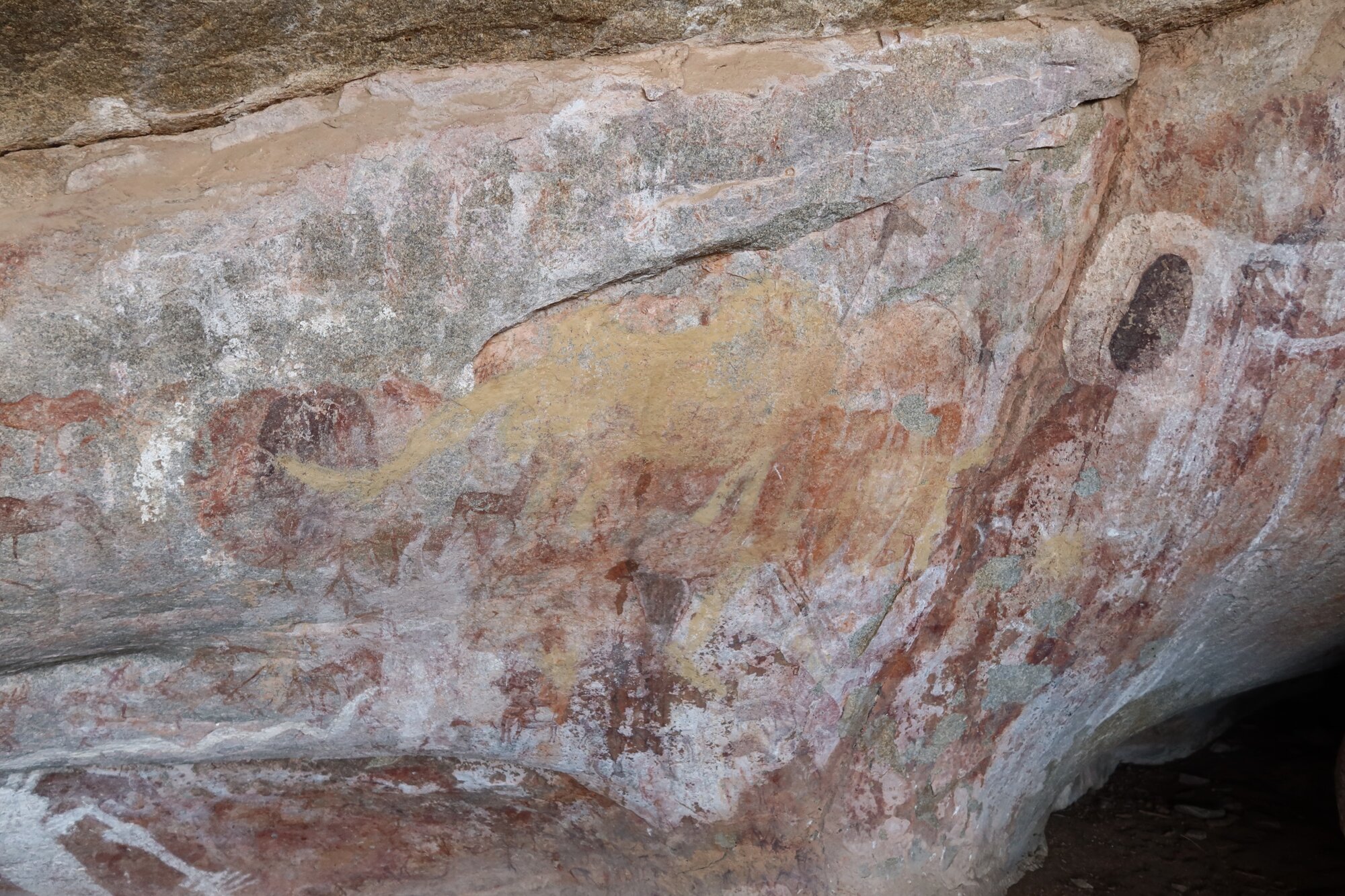 Chikupu MAIN cave 2022.10.12 (11).jpeg