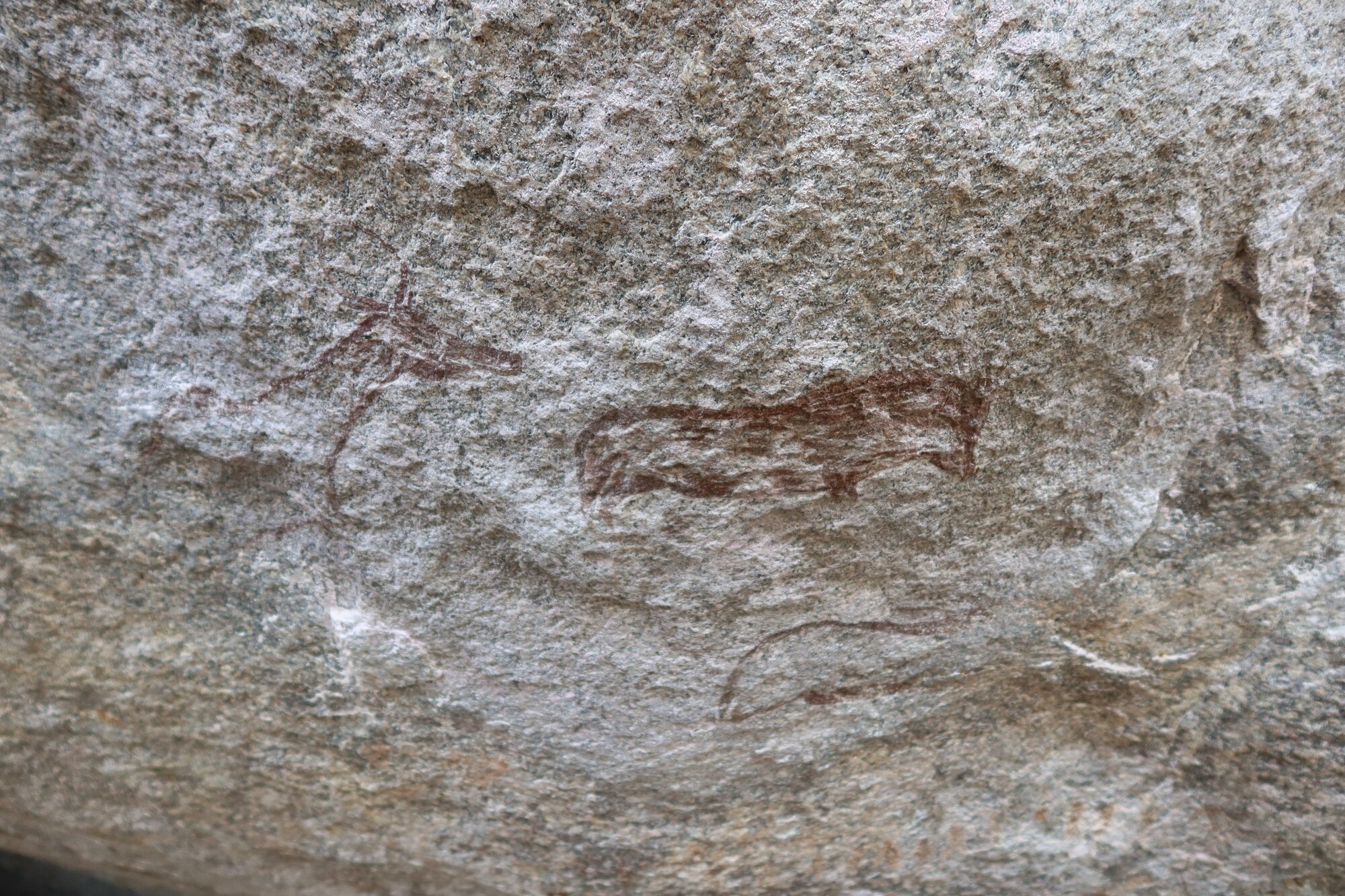 Chikupu MAIN cave 2022.10.12 (22).jpeg