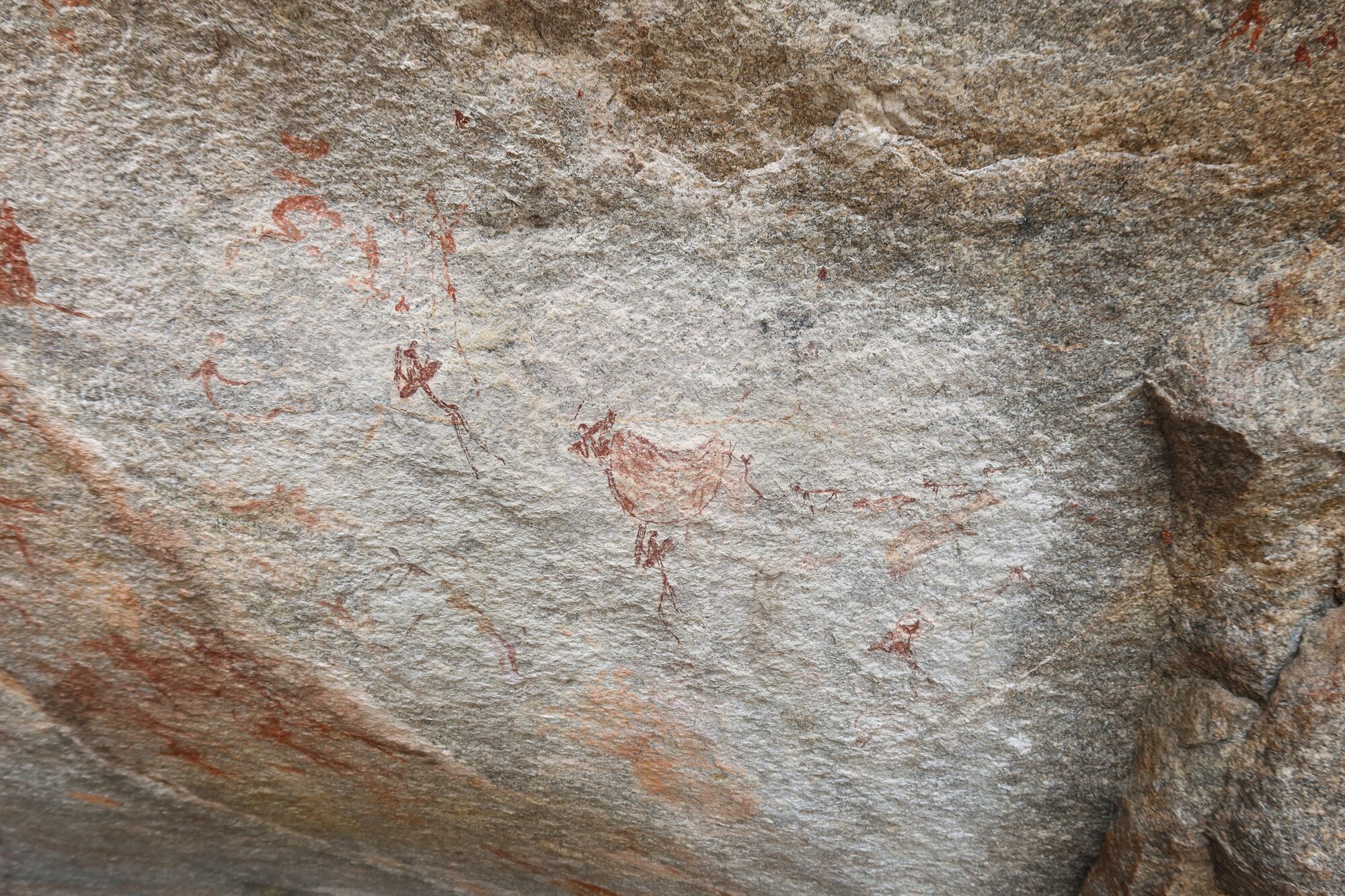 Chikupu MAIN cave 2022.10.12 (24).jpeg