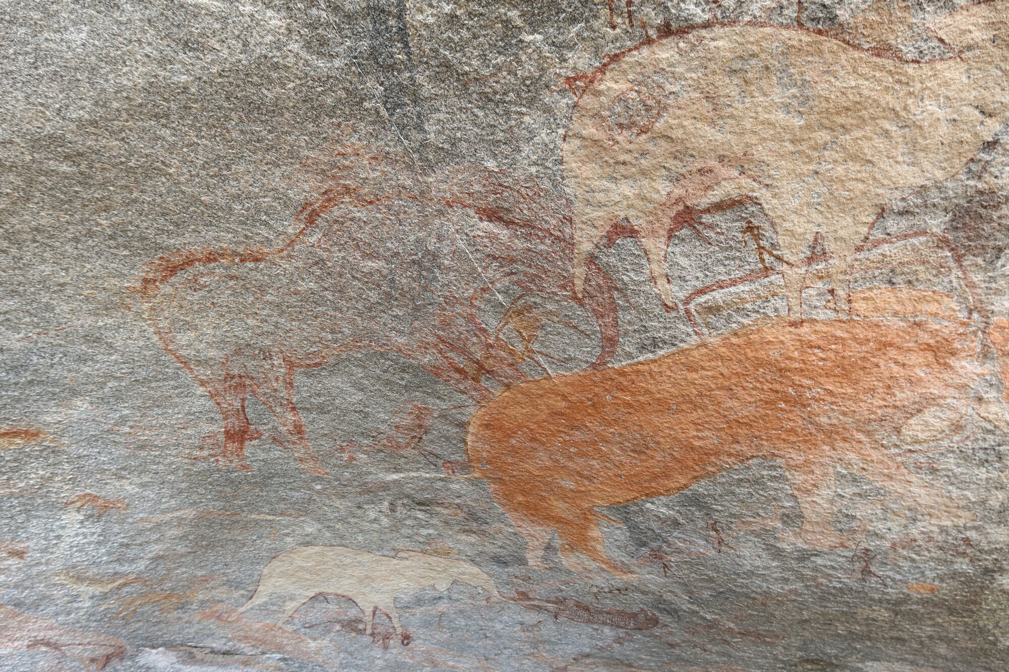 Chikupu MAIN cave 2022.10.12 (33).jpeg