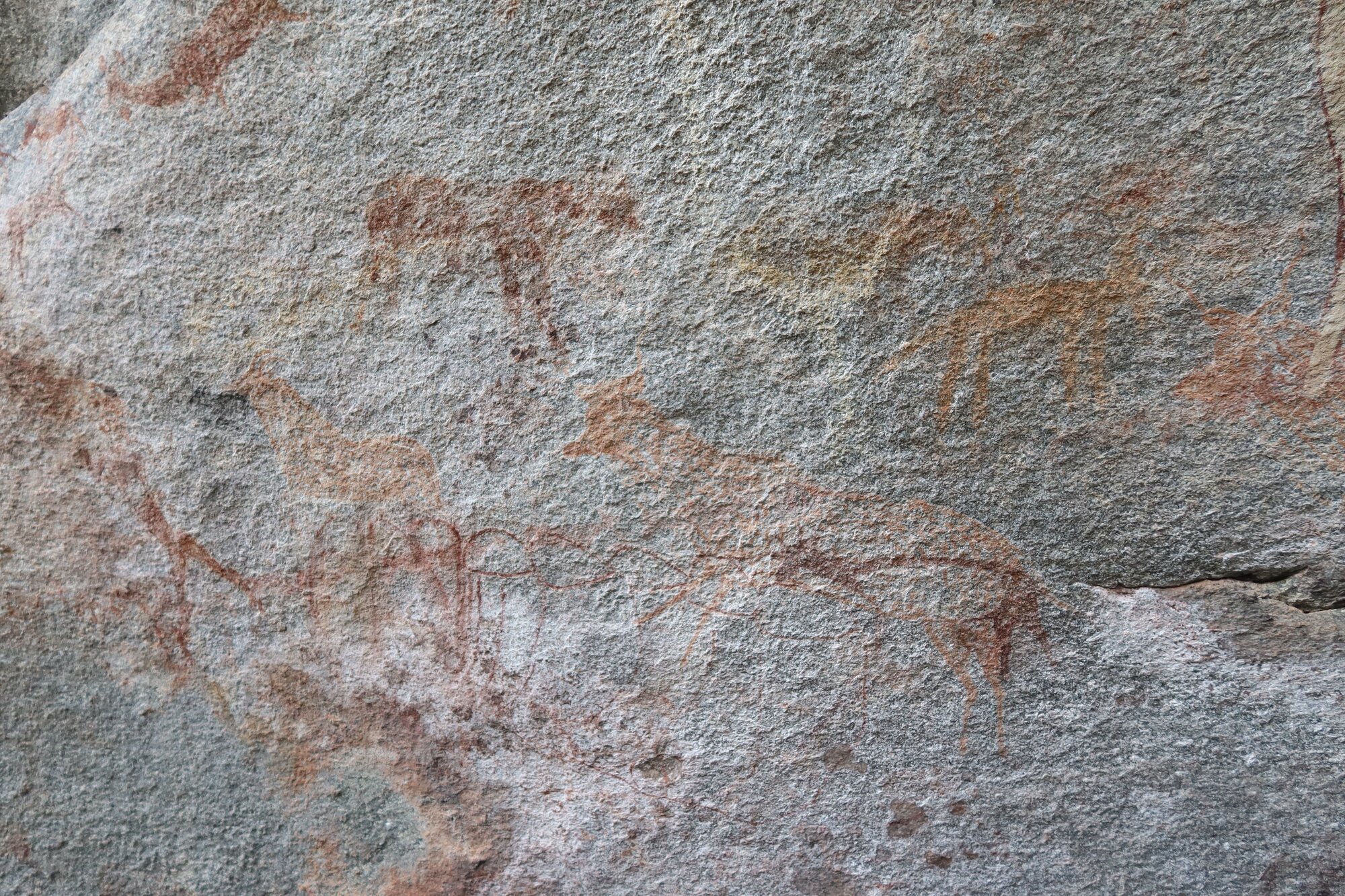 Chikupu MAIN cave 2022.10.12 (42).jpeg