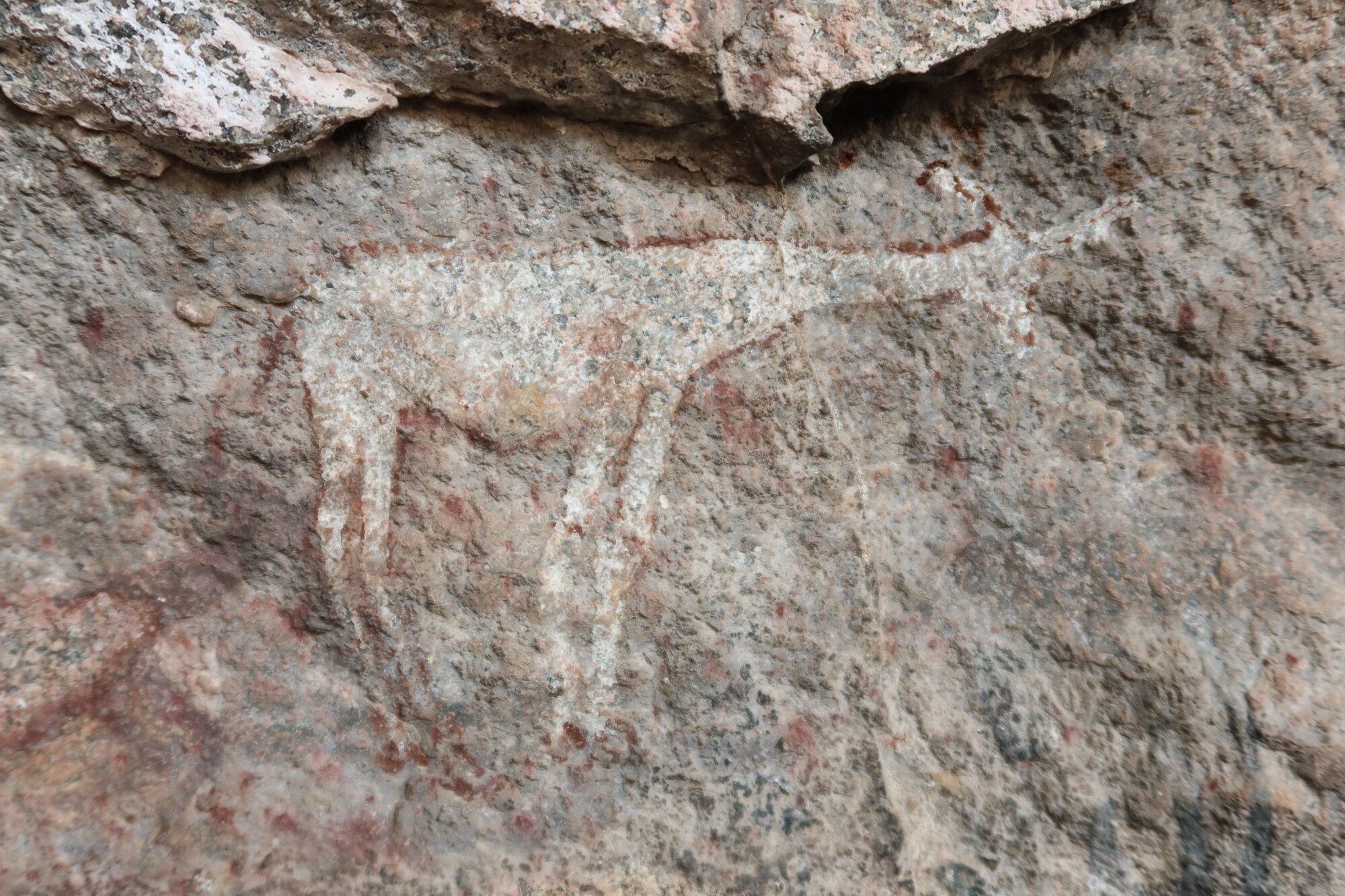 Chikupu SMALL 2022.10.12 (28).jpeg
