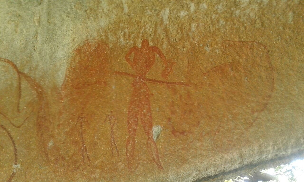 Crocodile Site 2017.02.12 ex Jono Waters (1).jpeg
