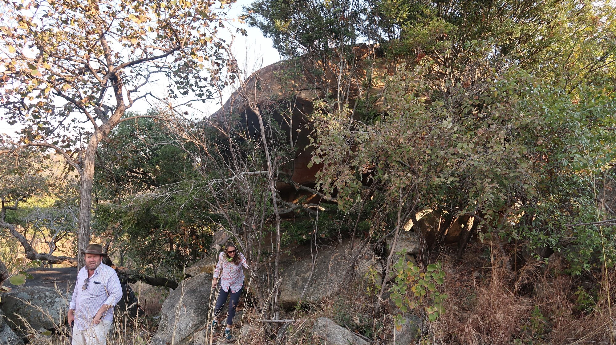 Crocodile Site 2018.07.31 (12).jpeg