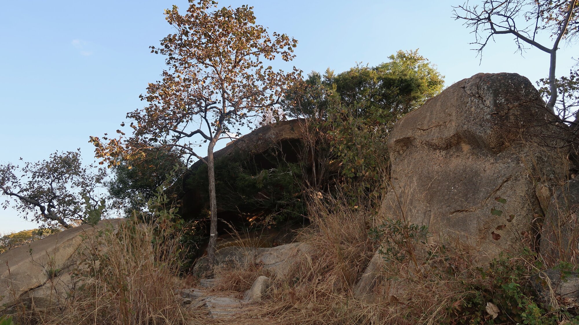 Crocodile Site 2018.07.31 (16).jpeg