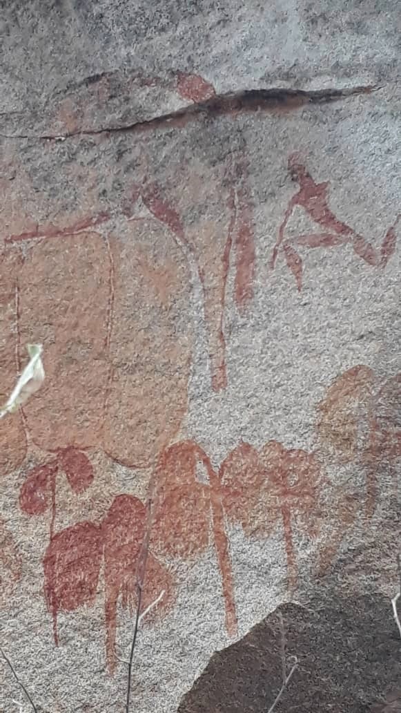 Lake Chivero NP Gate site 2018.07.22 ex Jono Waters (4).jpeg